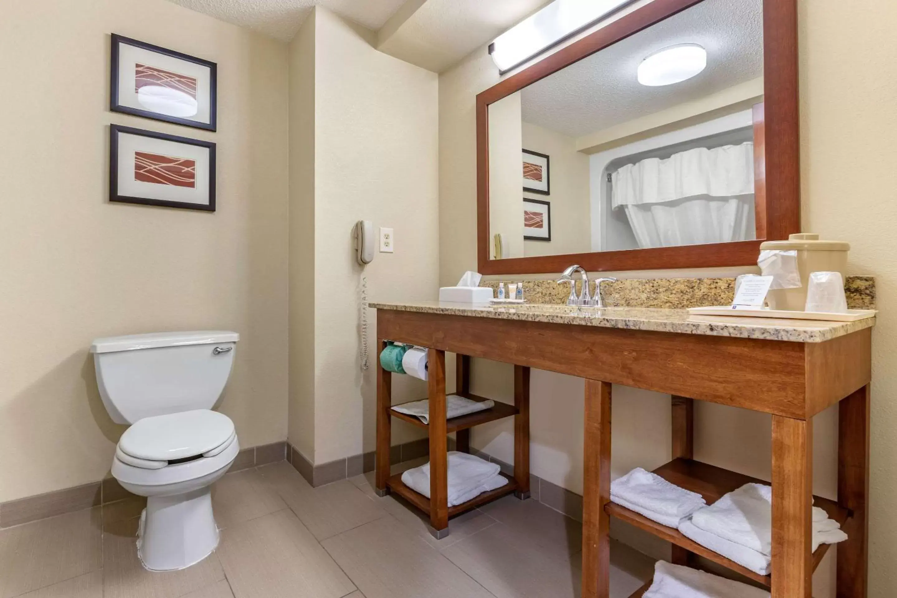 Photo of the whole room, Bathroom in Comfort Inn Blythewood - North Columbia