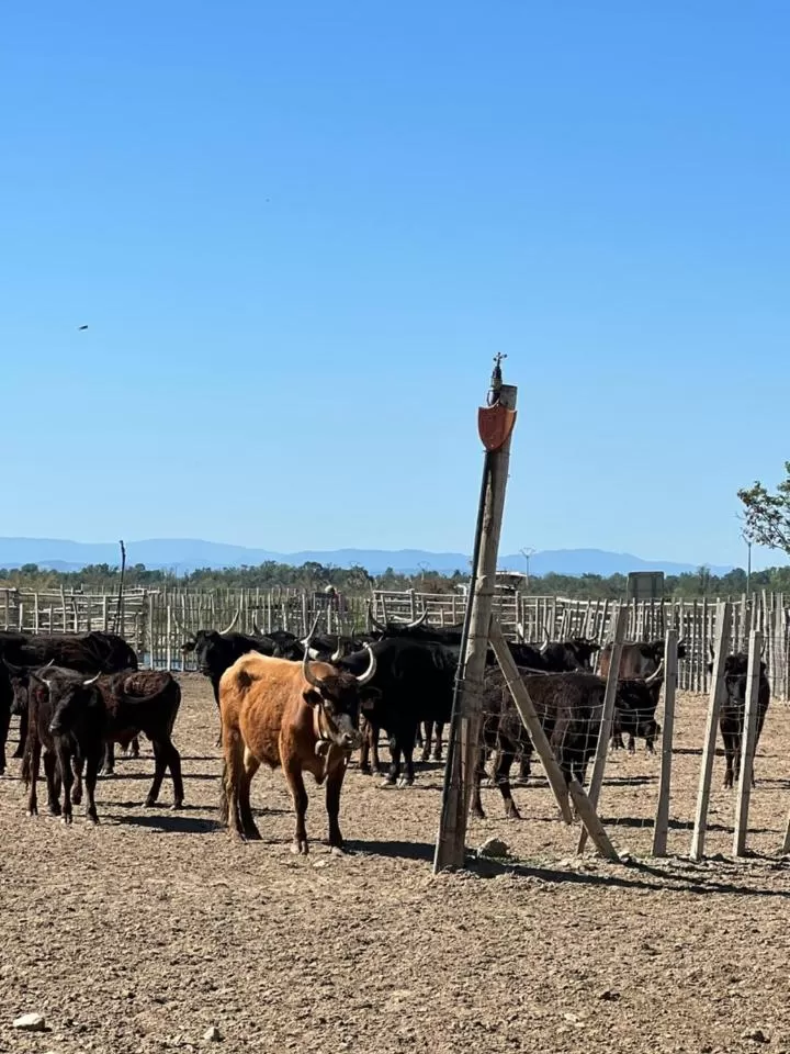 Off site in Hôtel Le Médiéval - Parking inclus & accueil vélo