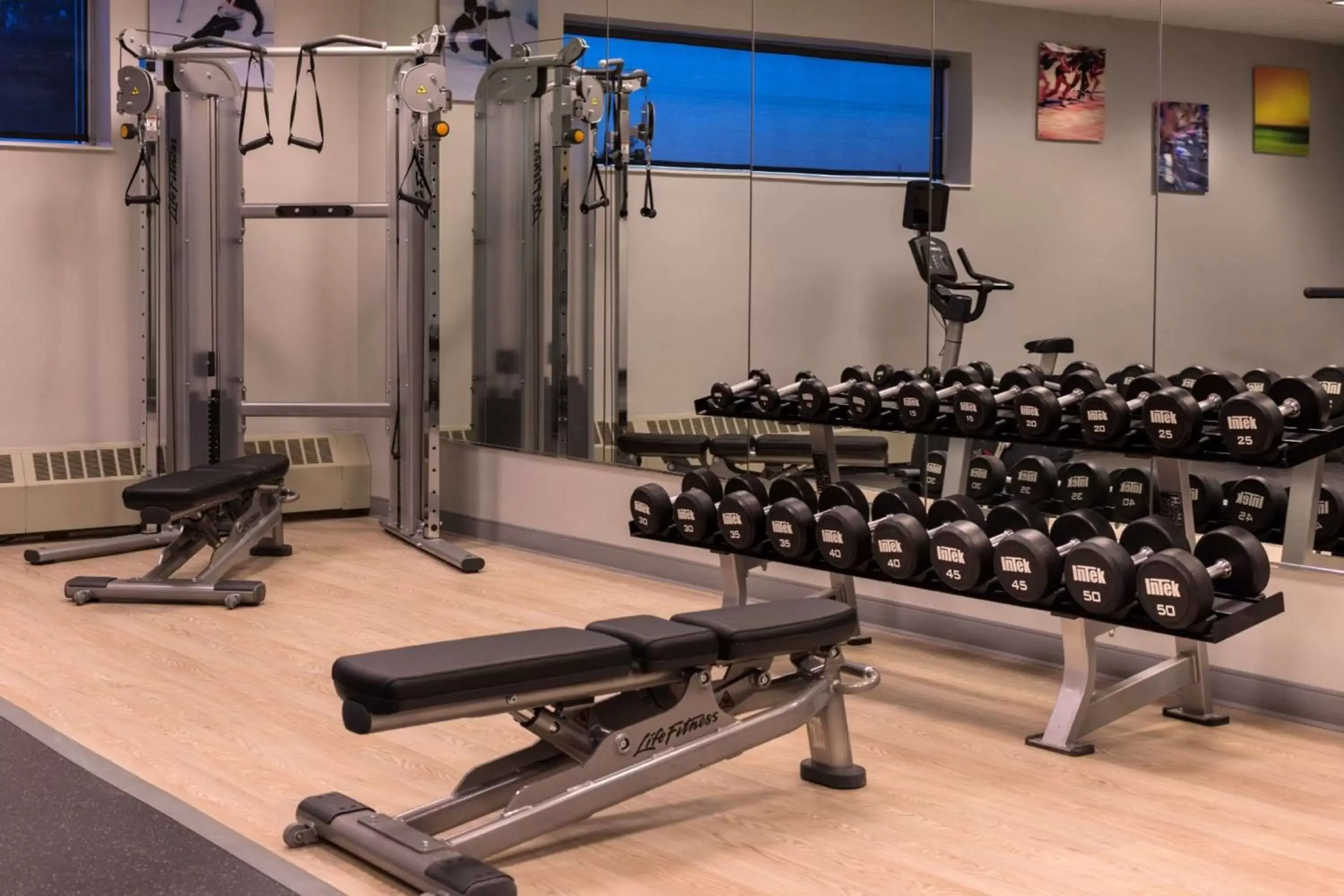 Spa and wellness centre/facilities, Fitness Center/Facilities in Sonesta Chicago O'Hare Airport Rosemont
