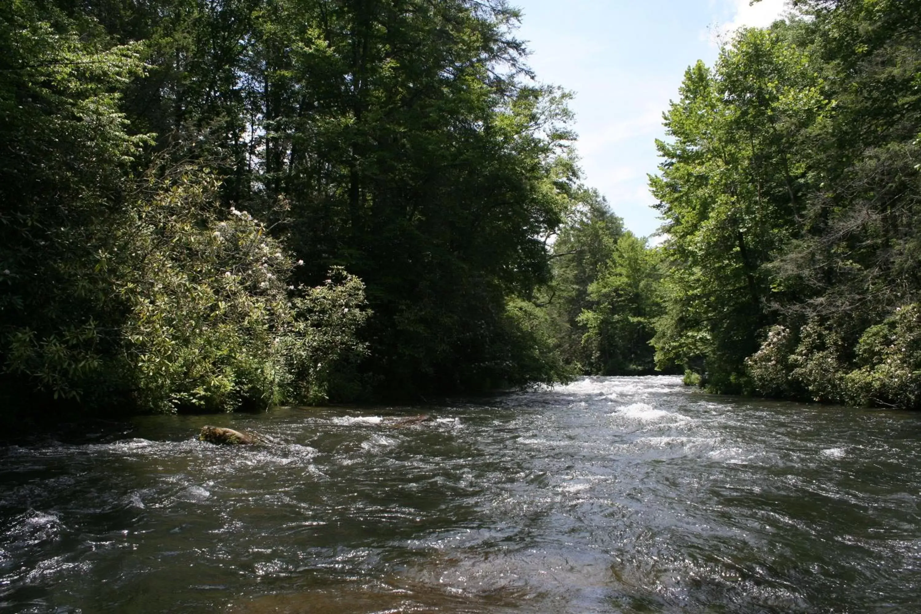 Off site, Natural Landscape in Nantahala Village