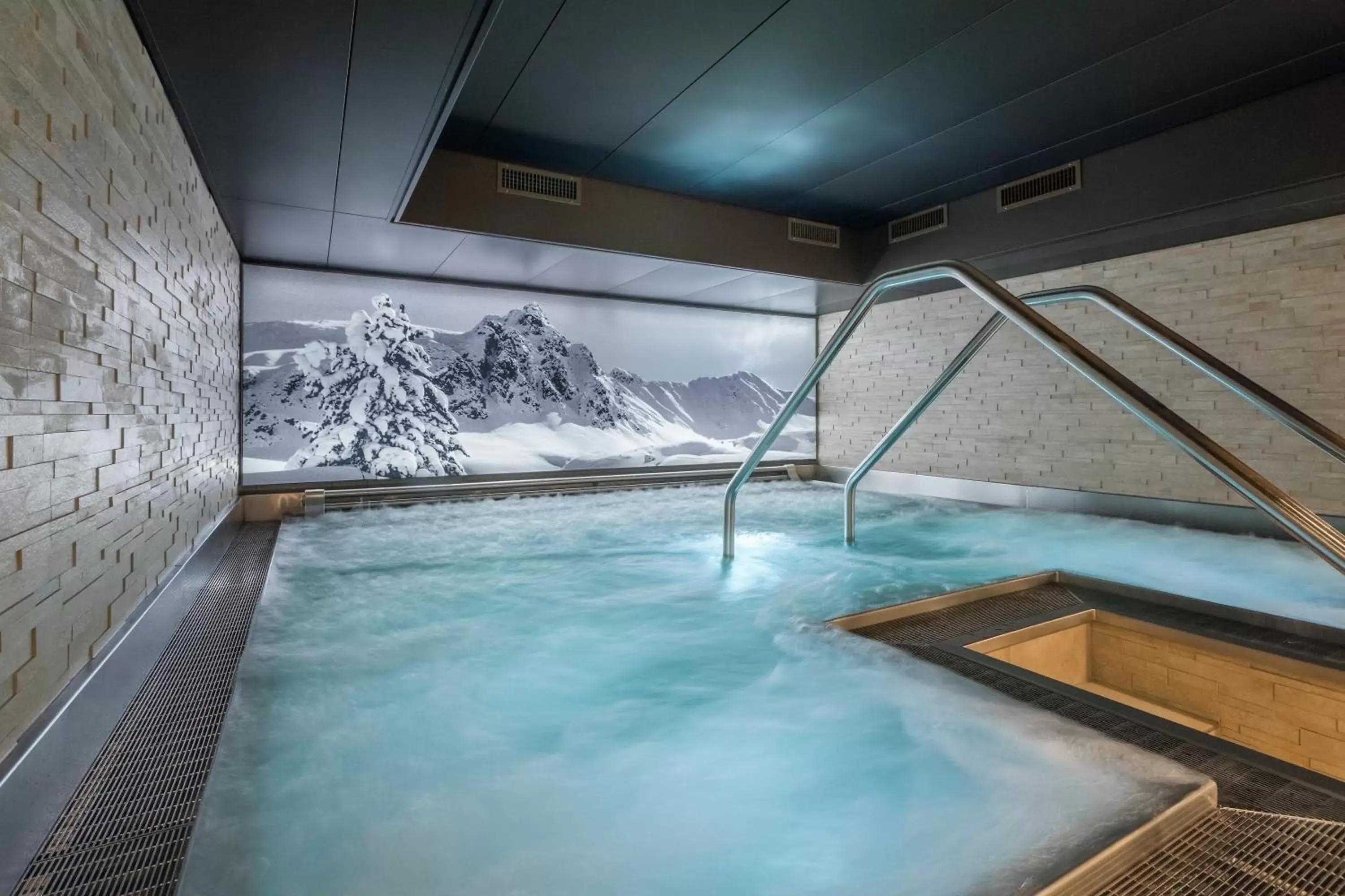 Hot Tub, Swimming Pool in Precise Tale Seehof Davos