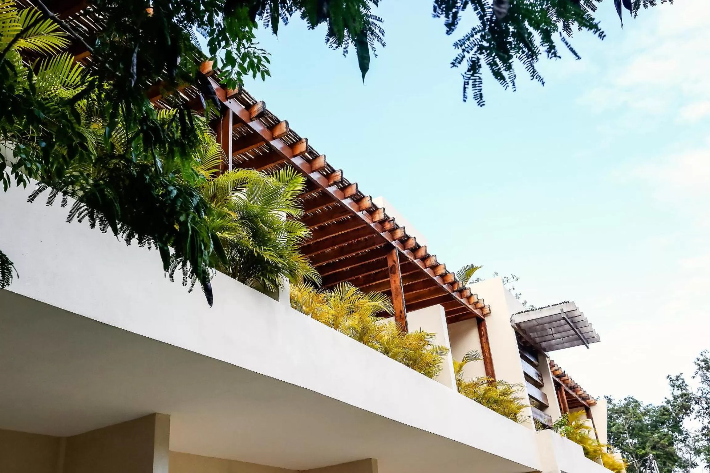 Garden view in XscapeTulum