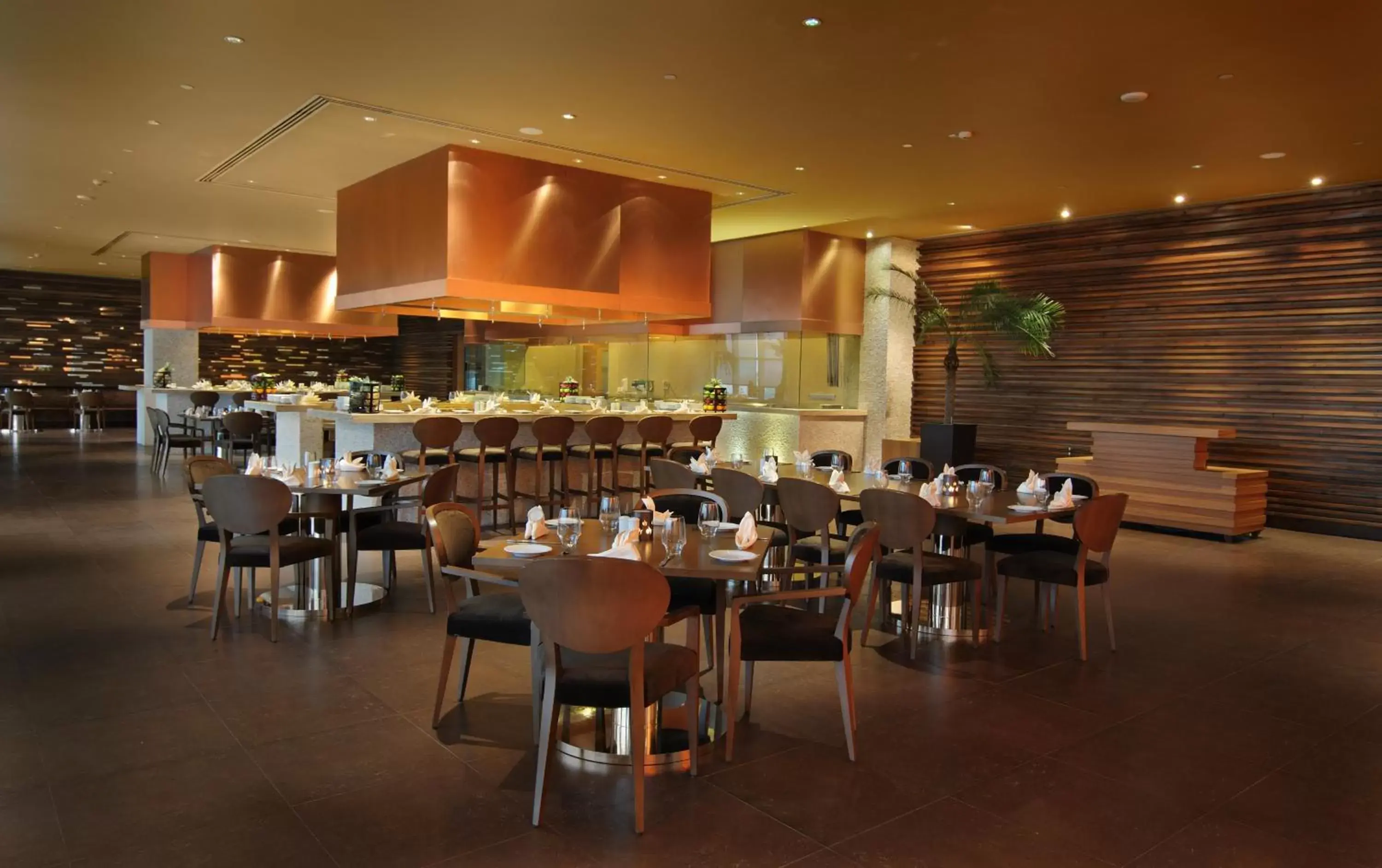 Restaurant/Places to Eat in Radisson Blu Hotel New Delhi Paschim Vihar