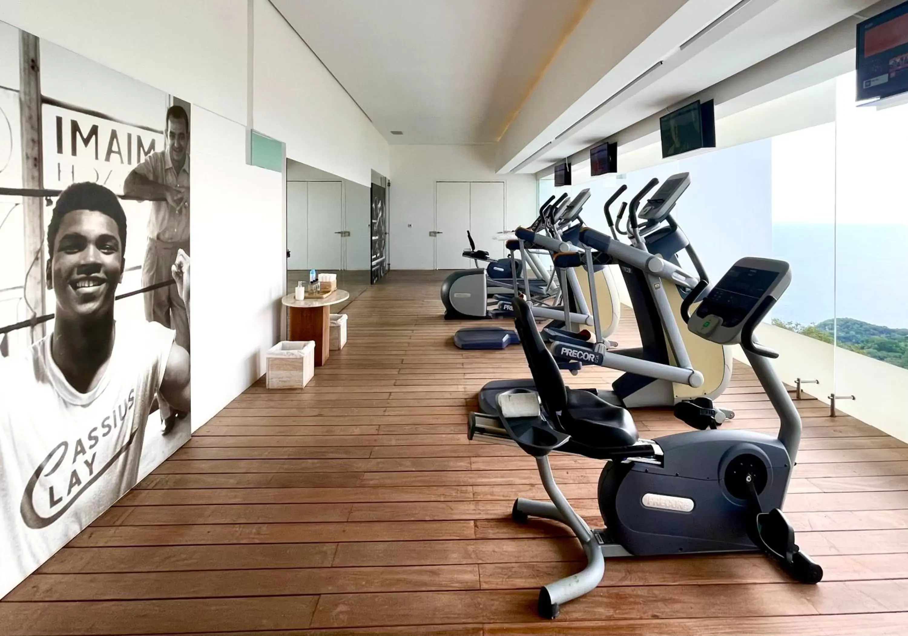 Spa and wellness centre/facilities, Fitness Center/Facilities in Encanto Acapulco