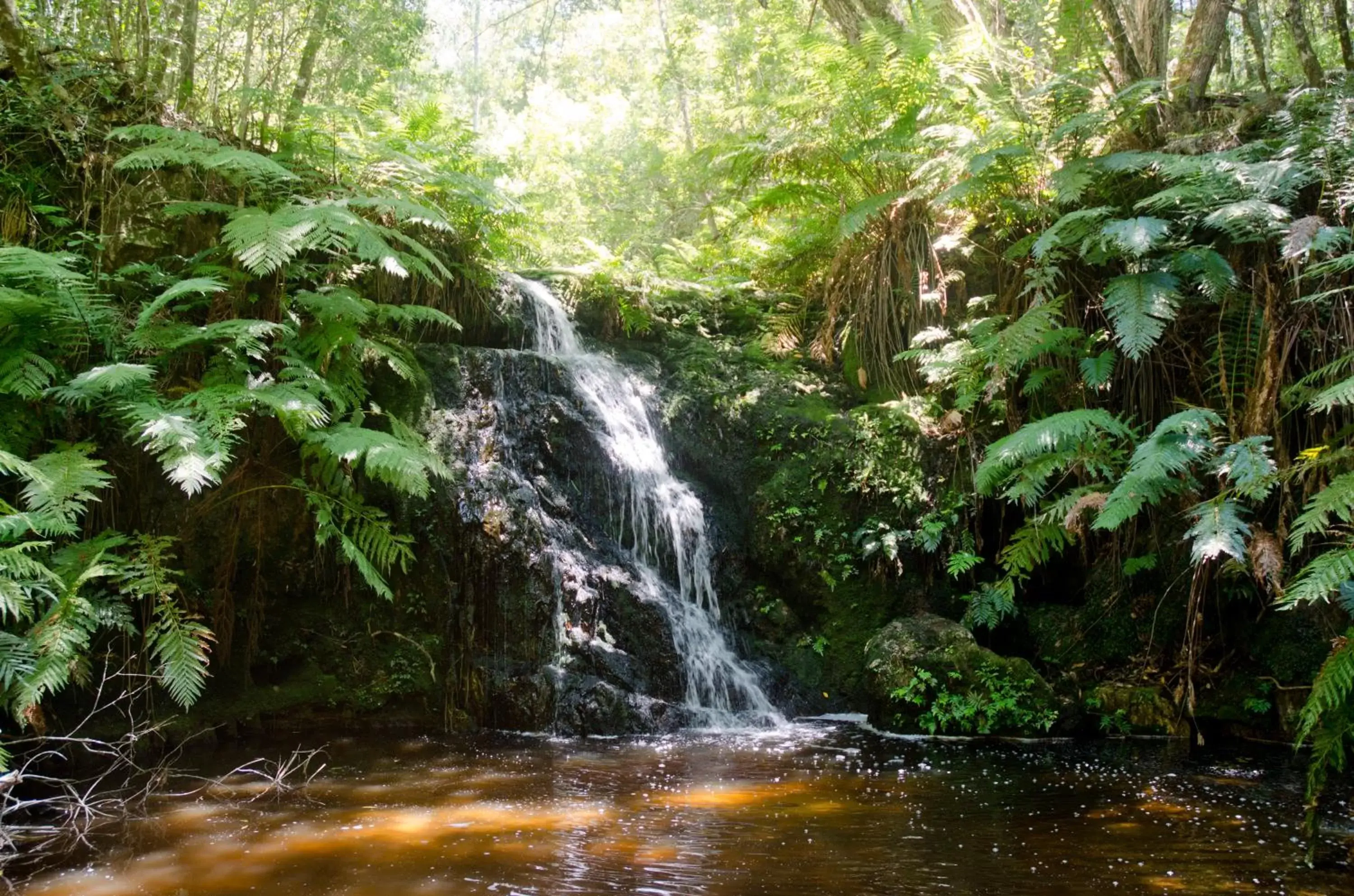 Natural Landscape in Knysna Log-Inn Hotel