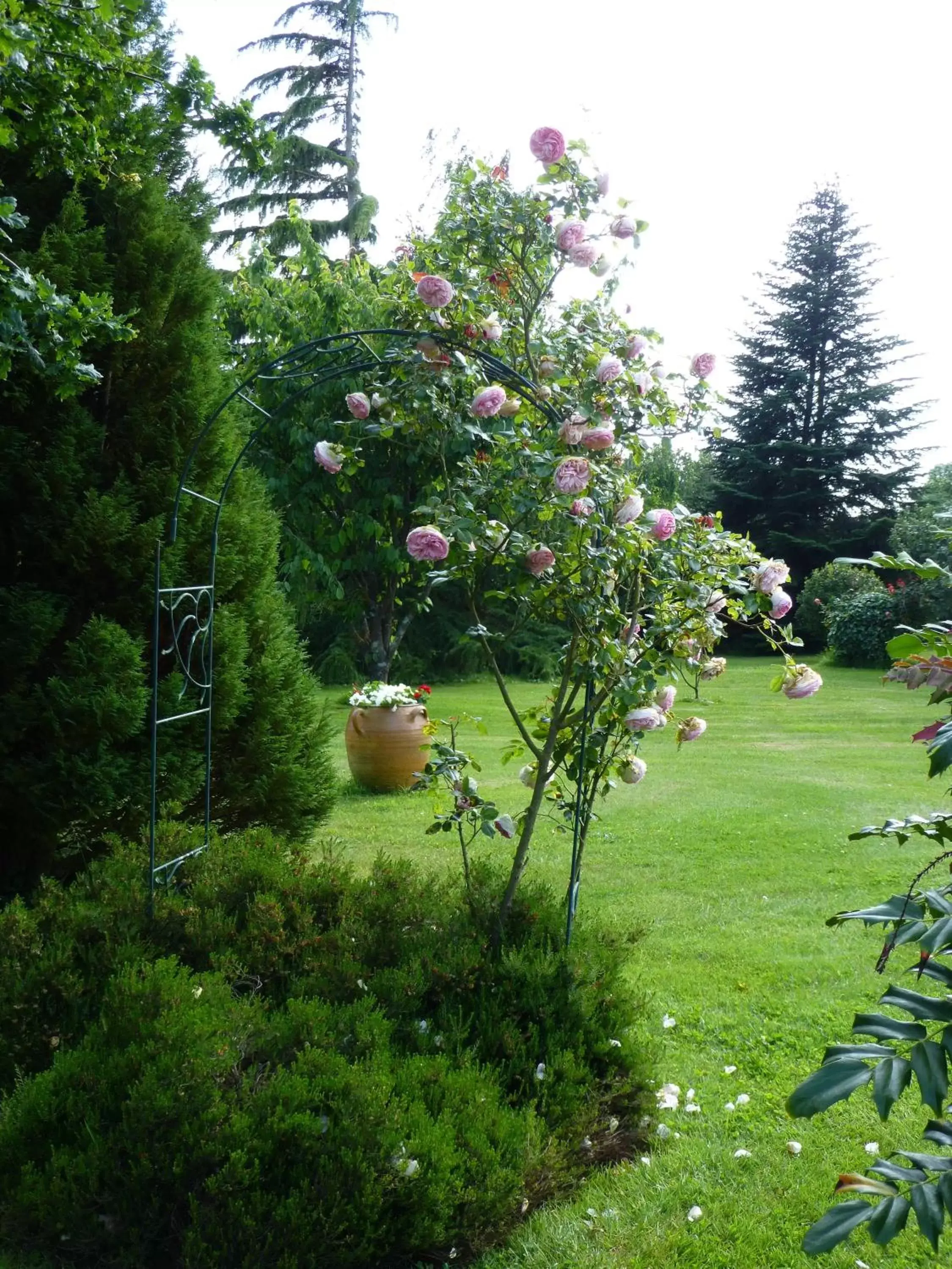 Garden in Le Clos du Pont Martin