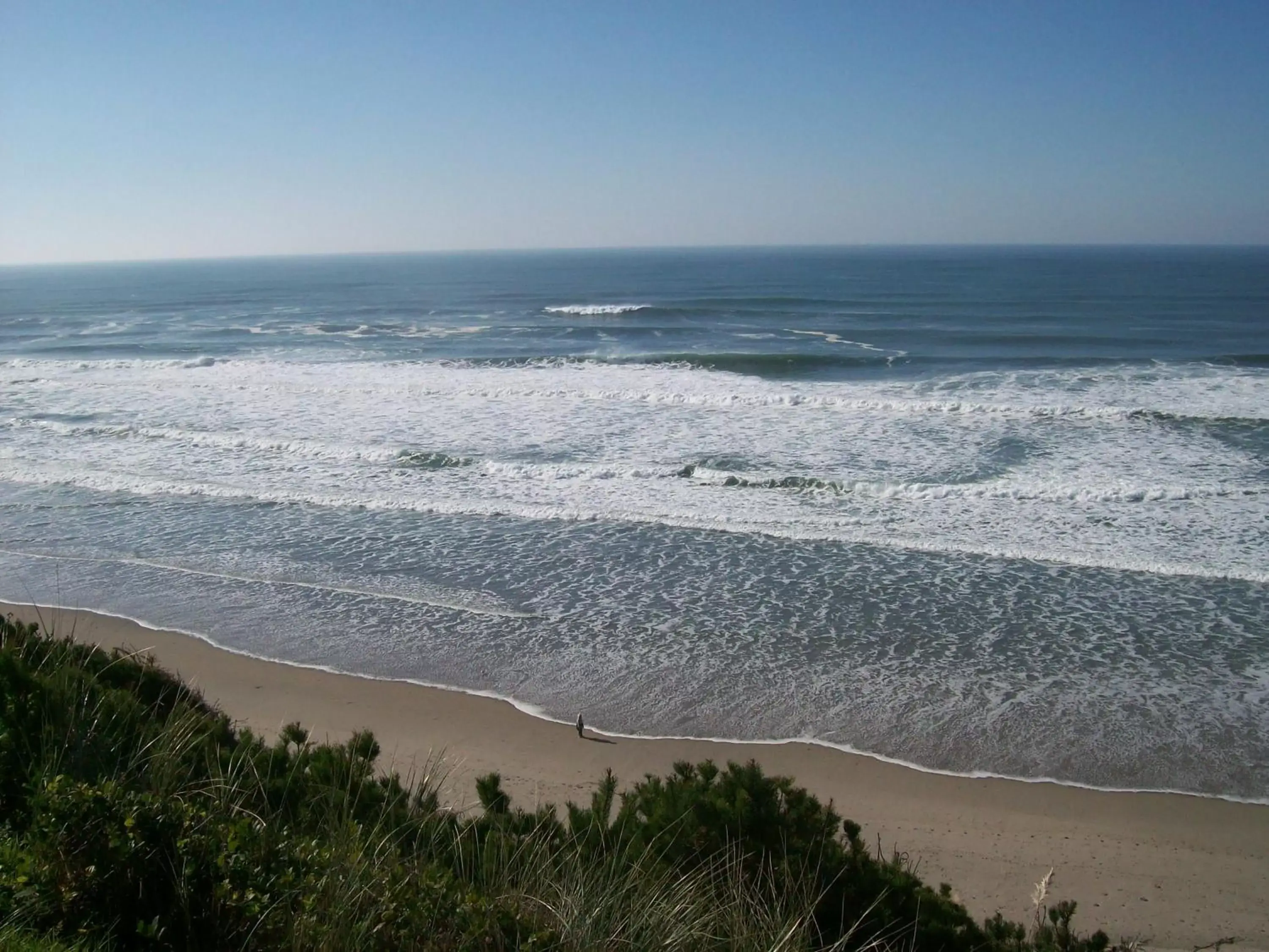 Beach in Seahorse Oceanfront Lodging