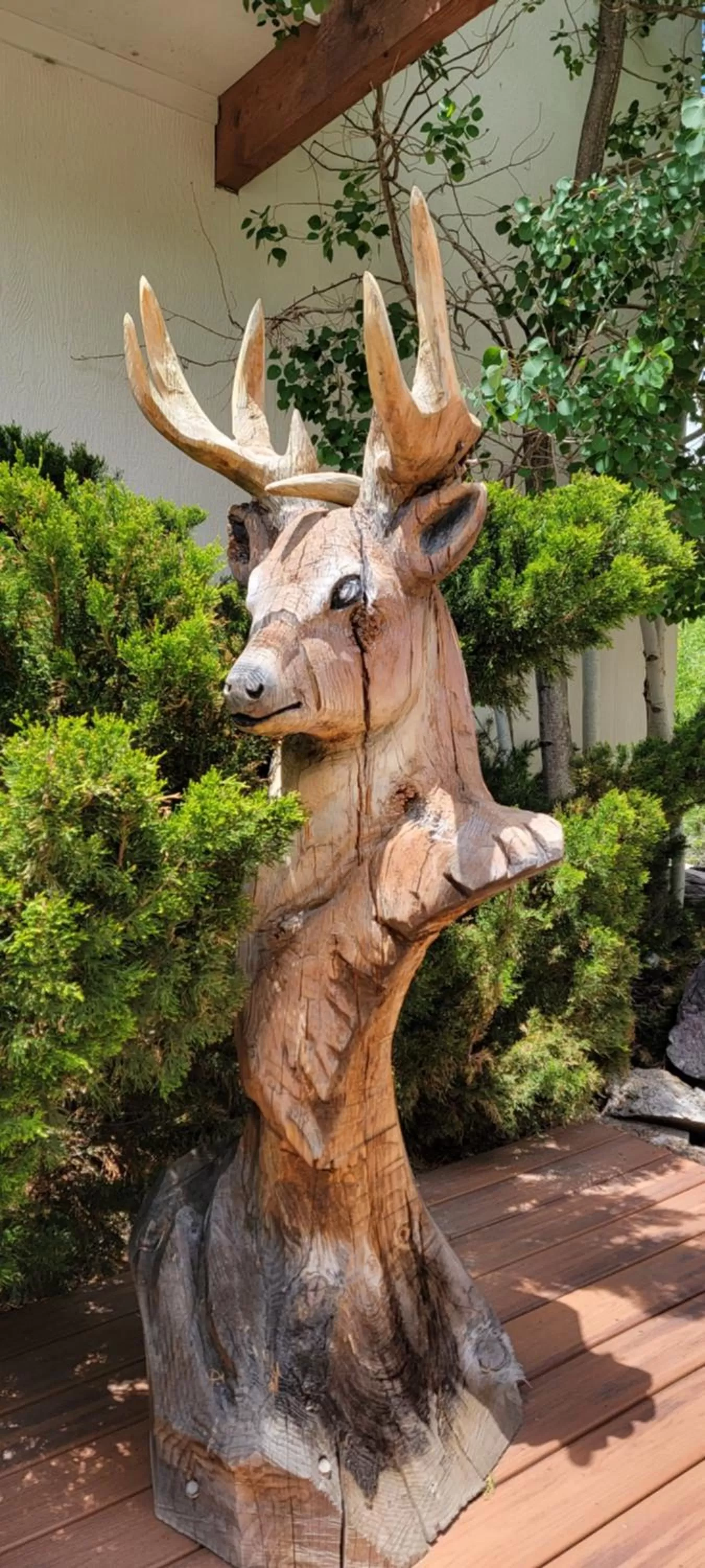 Property building in Hot Springs Inn