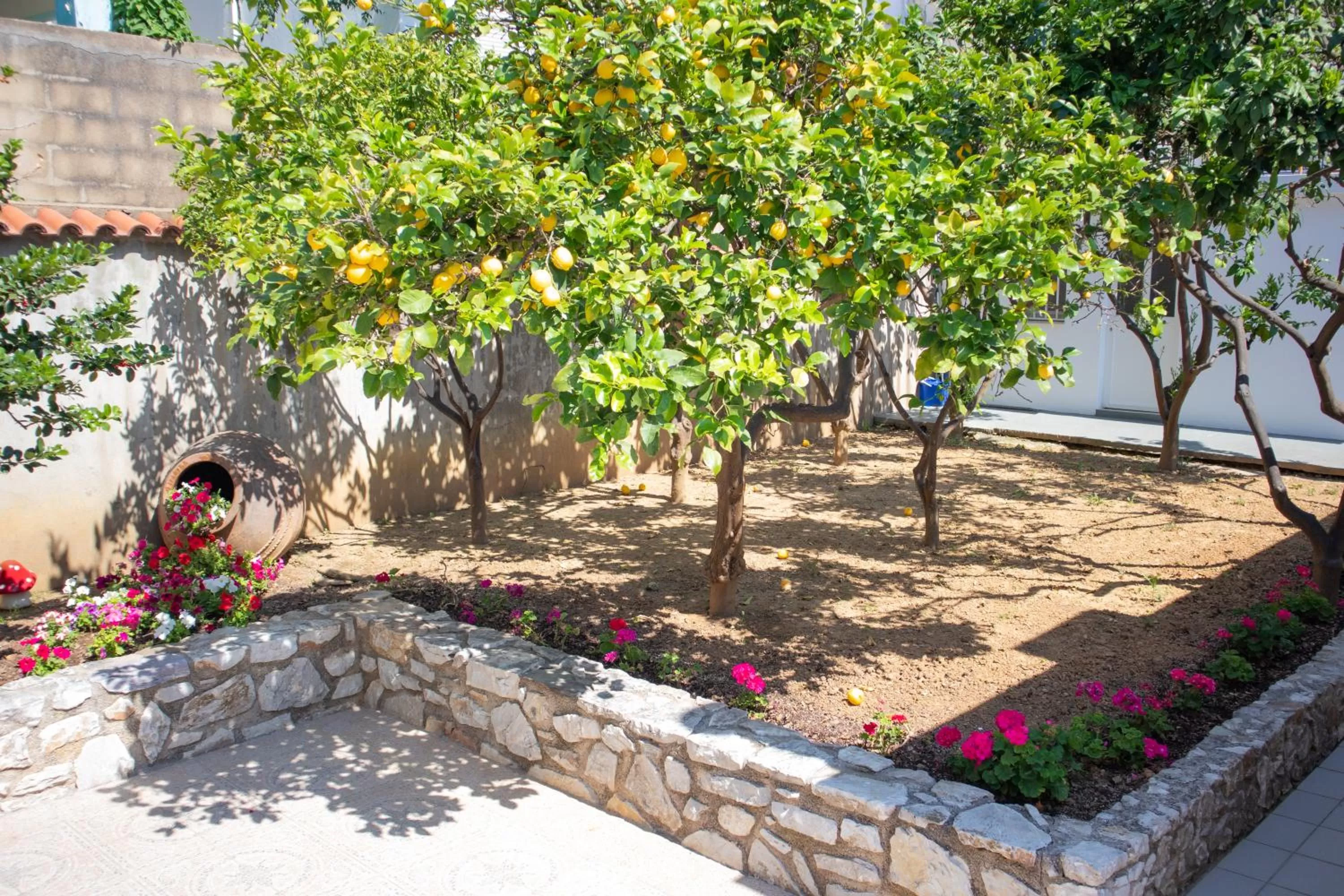Garden in ATHANASIA APARTMENTS
