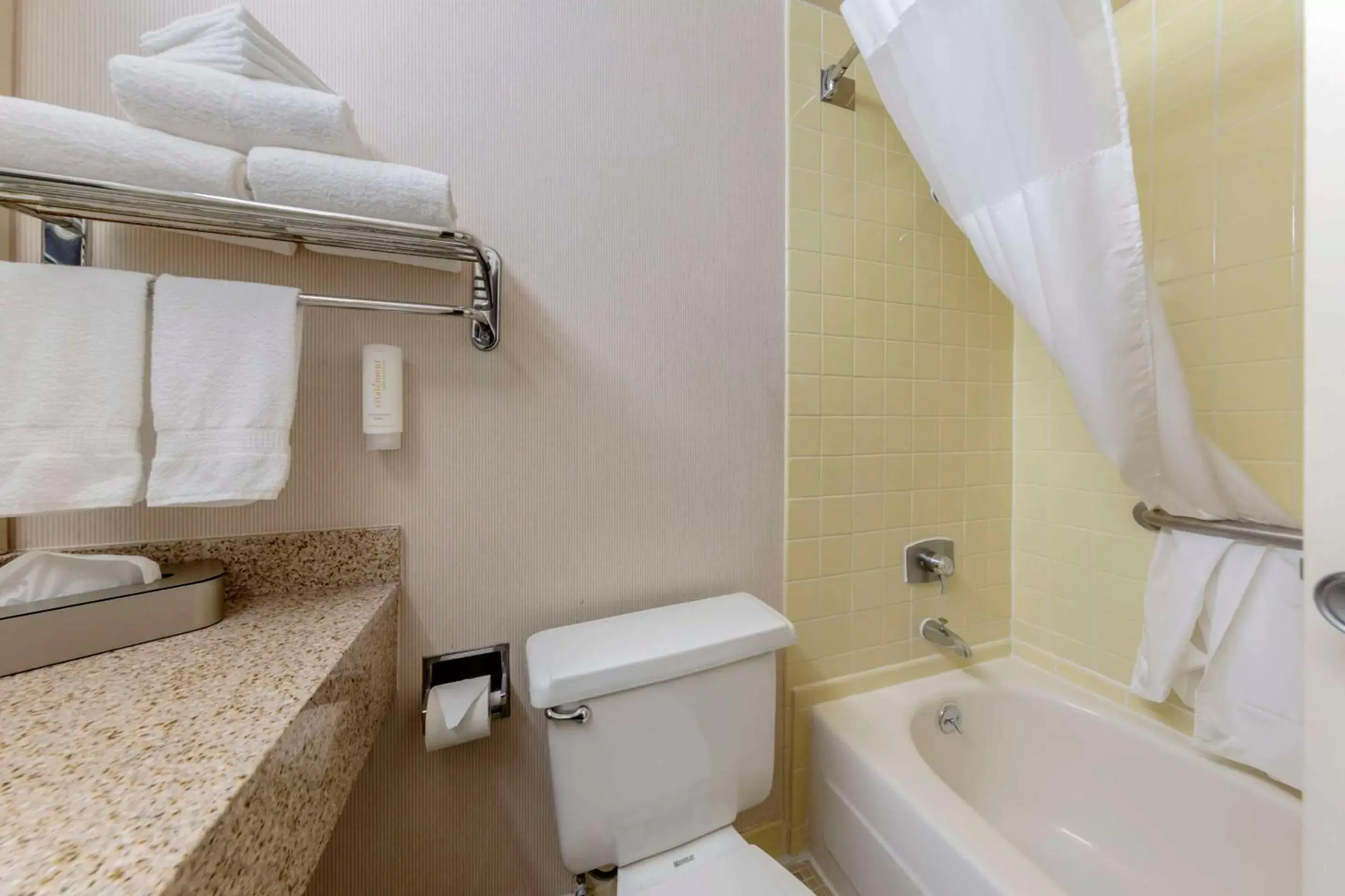 Bathroom in Clarion Hotel Anaheim Resort