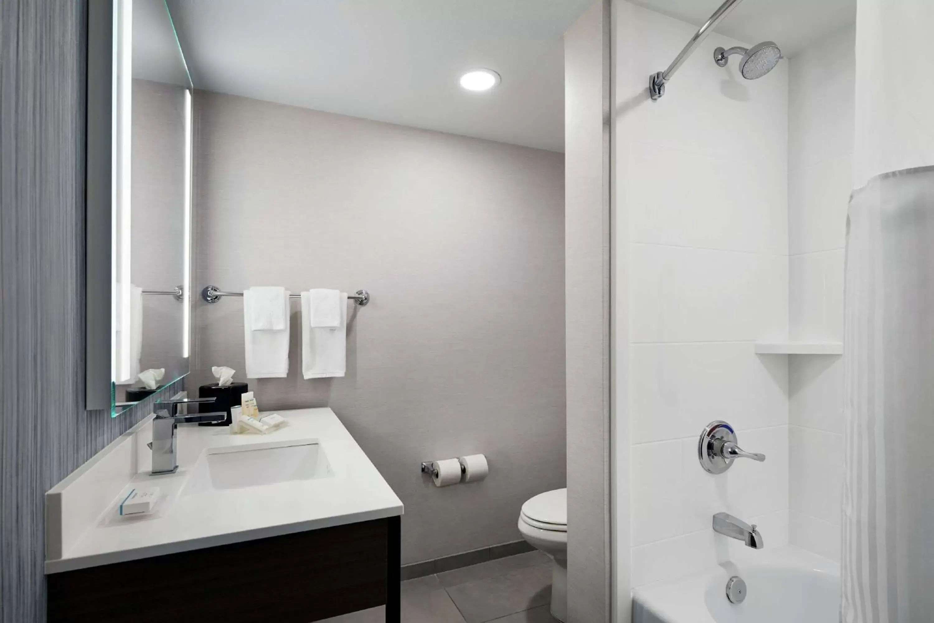 Bathroom in Hilton Garden Inn Champaign/ Urbana