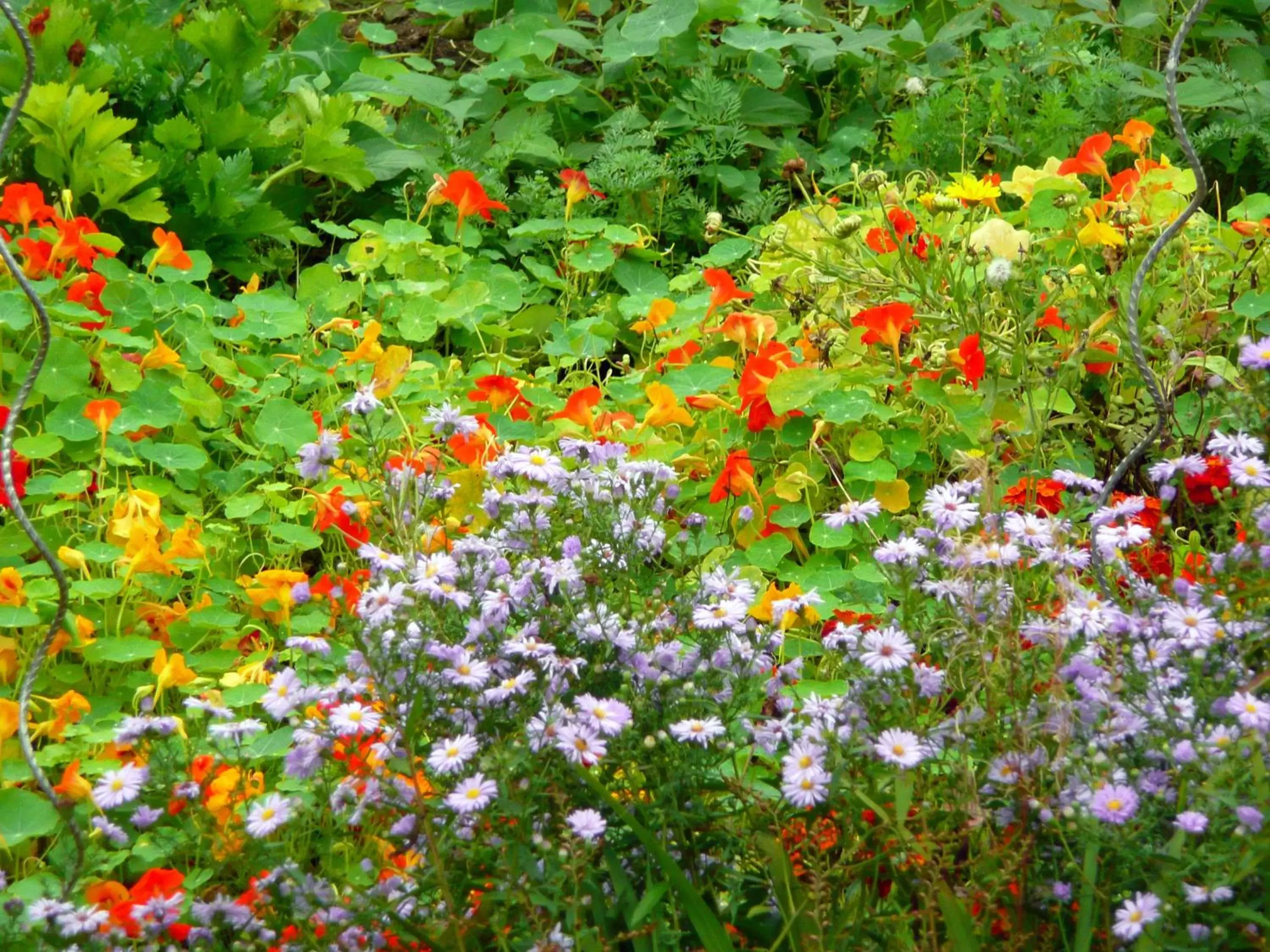 Garden view, Garden in Domaine De La Cour Vautier