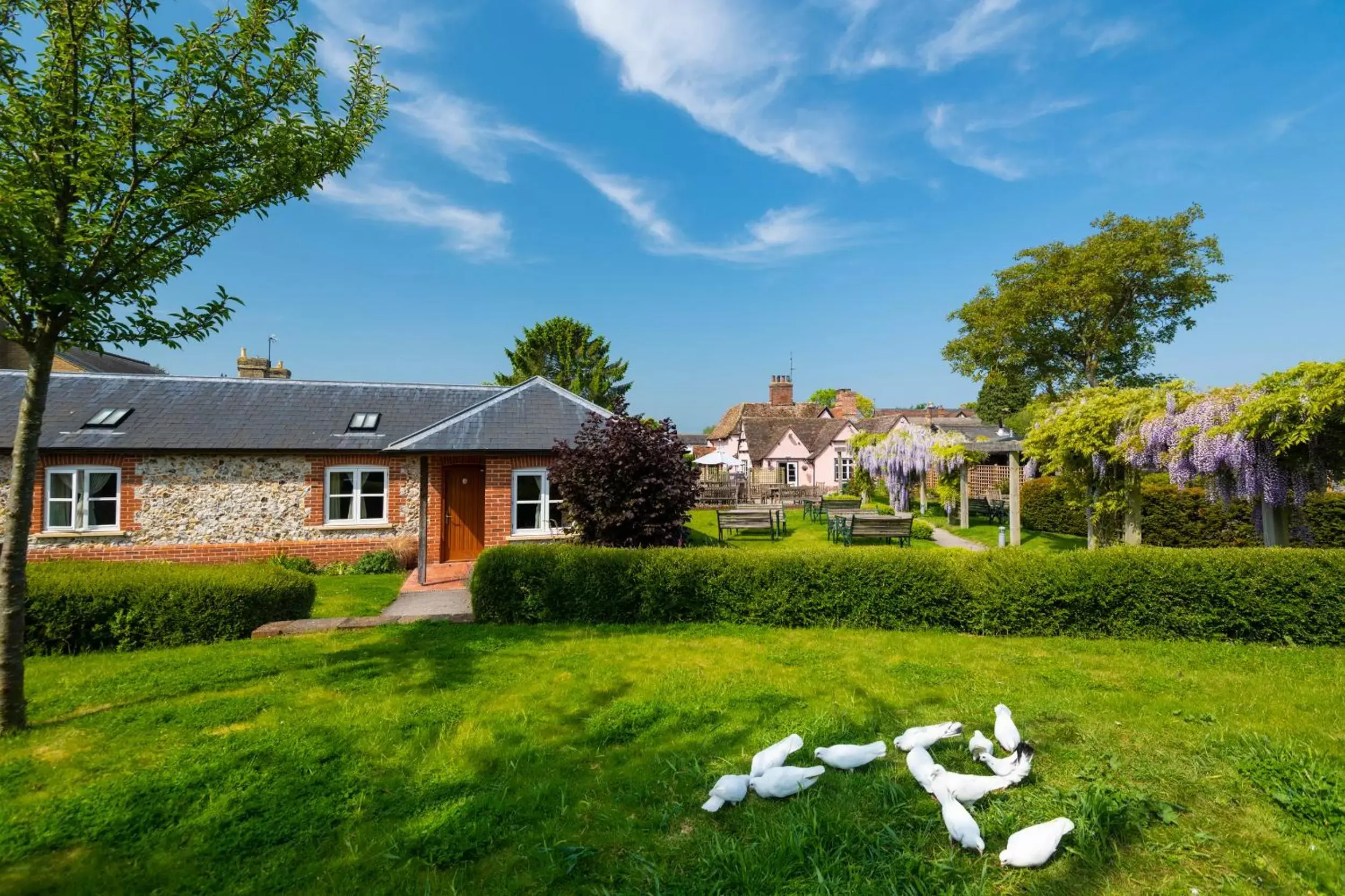 Property Building in The Red Lion Hinxton