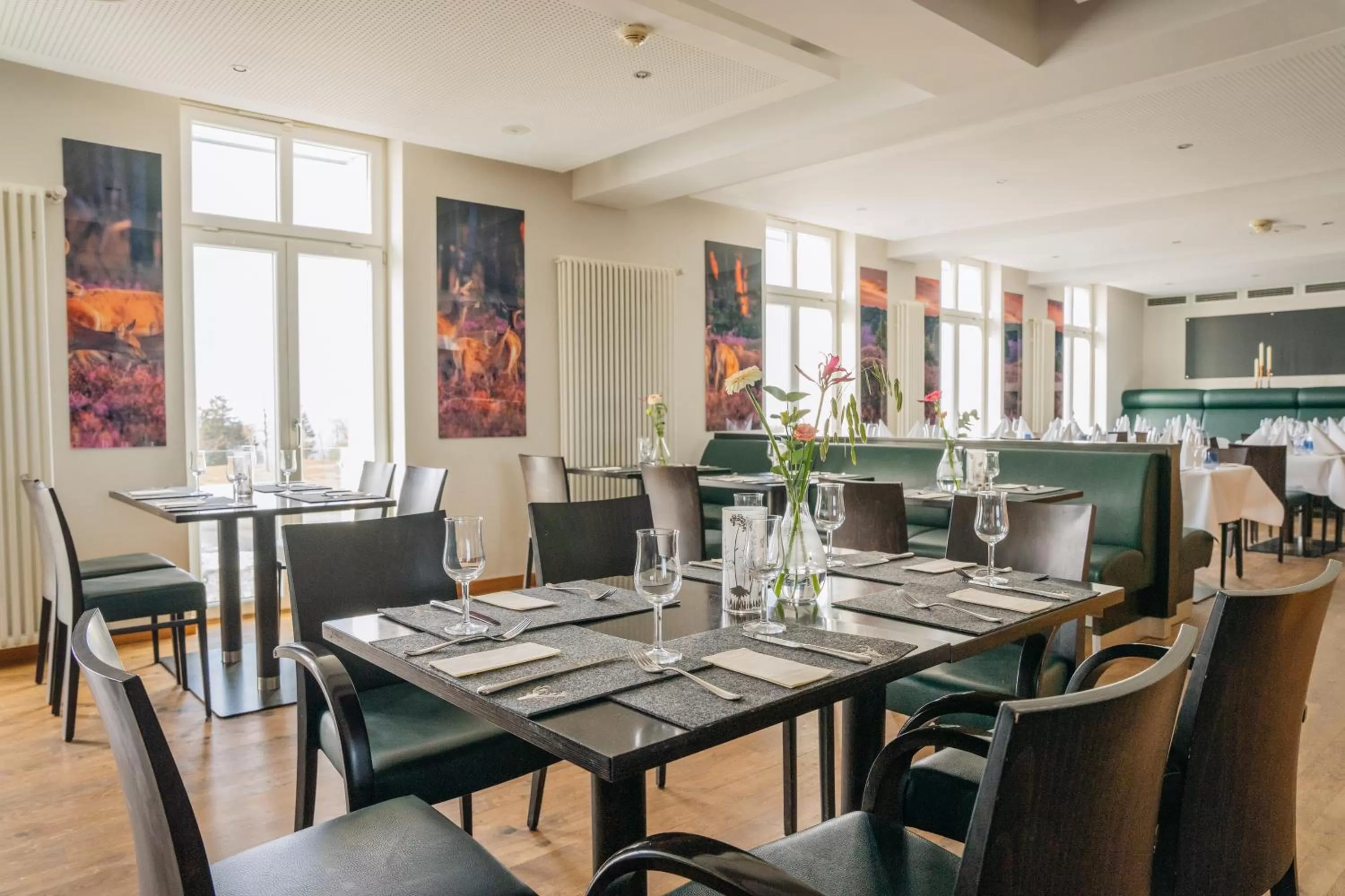 Restaurant/places to eat in Astenturm Hotel