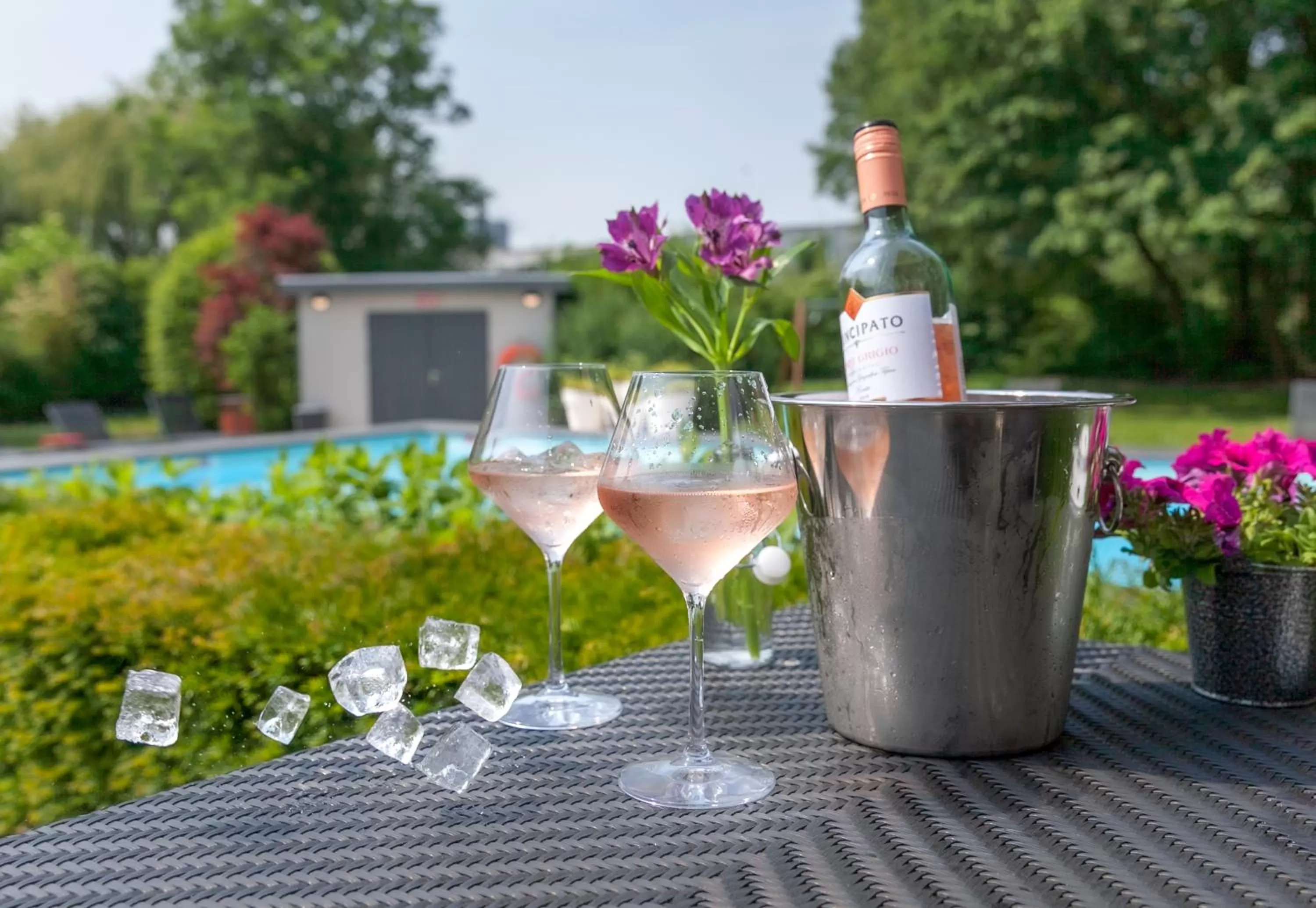 Swimming pool in Novotel Rotterdam - Schiedam