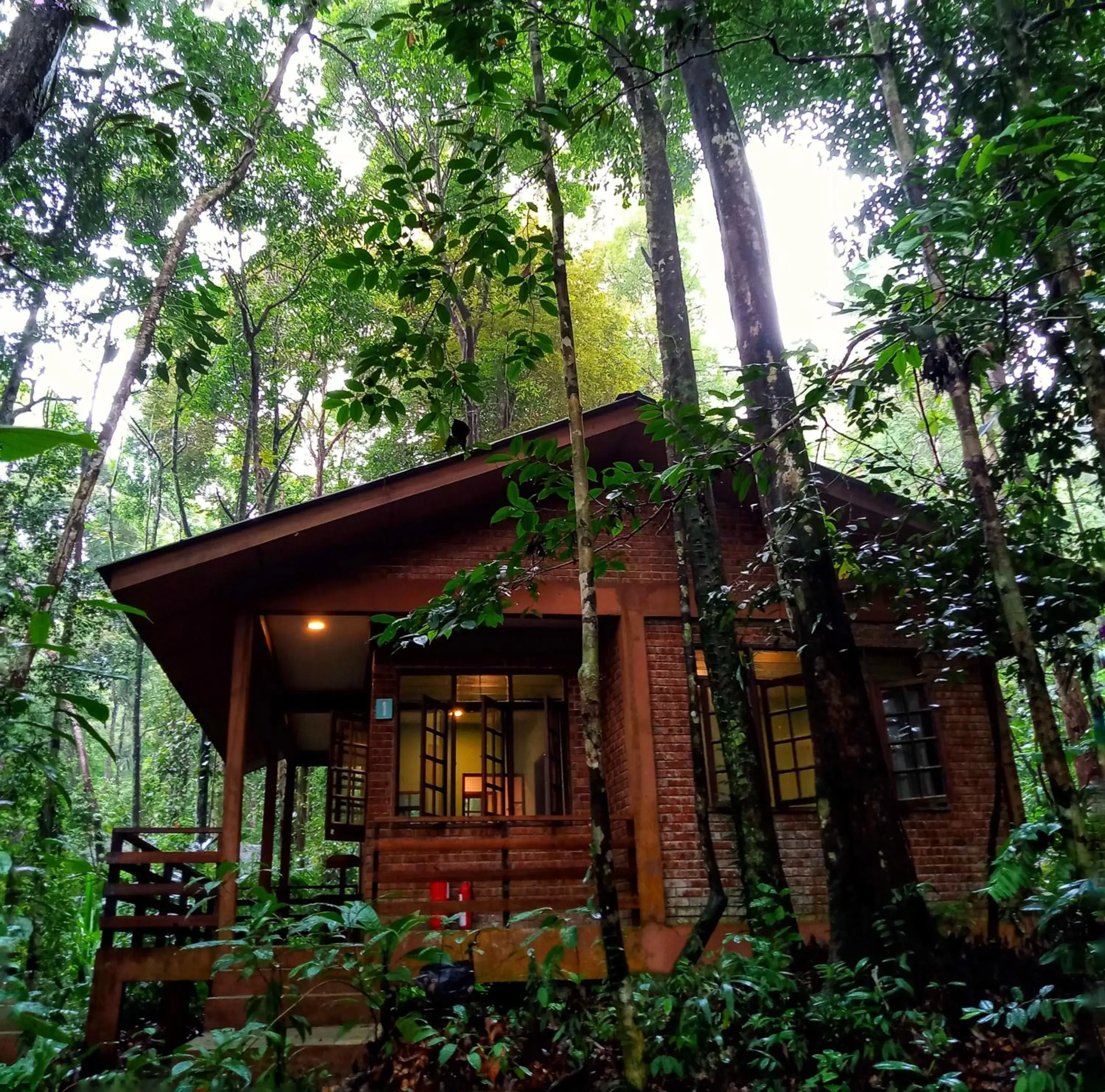 Property Building in Permai Rainforest Resort