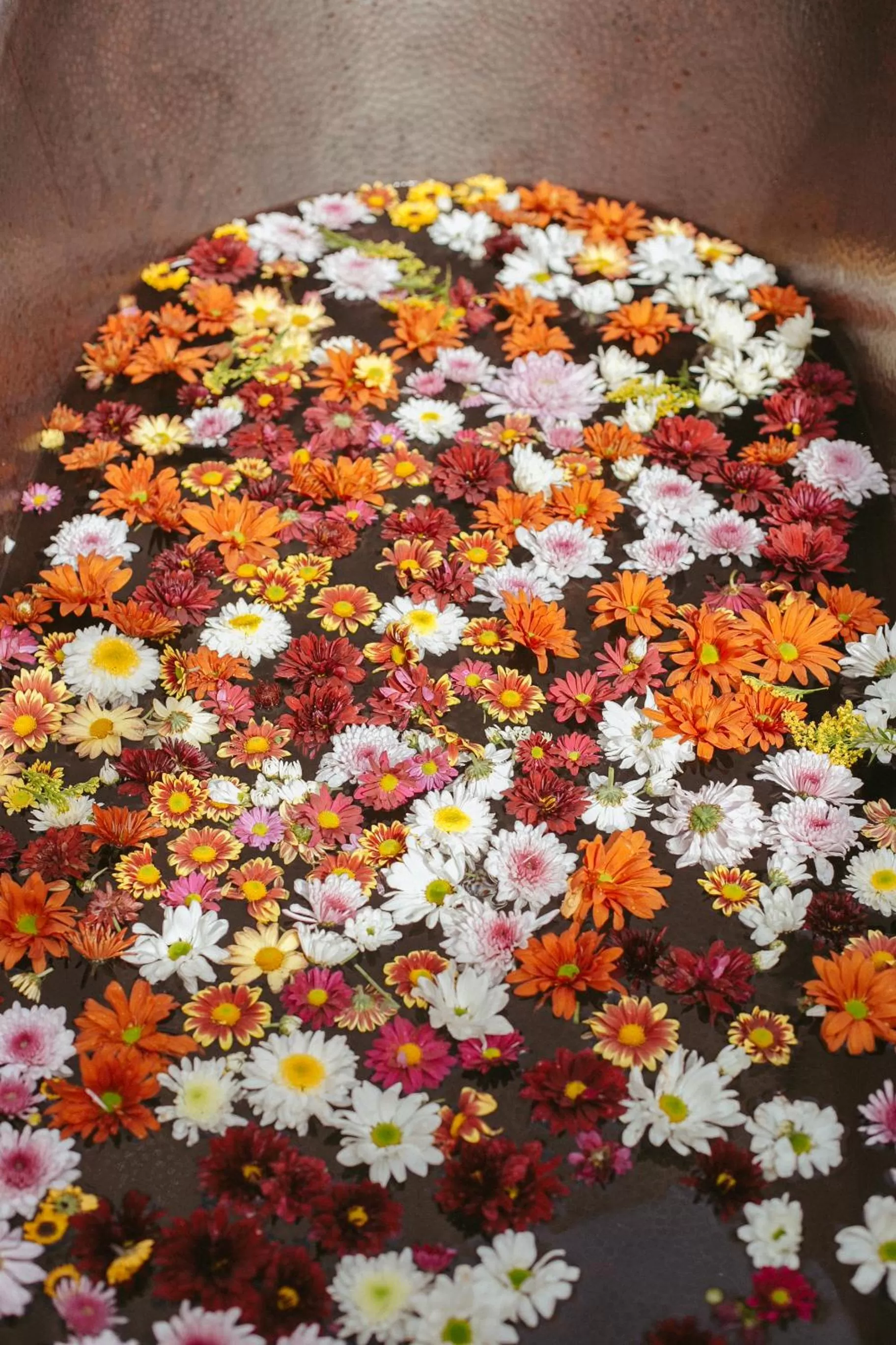 Hot Spring Bath in Era Hotel & Spa Tulum