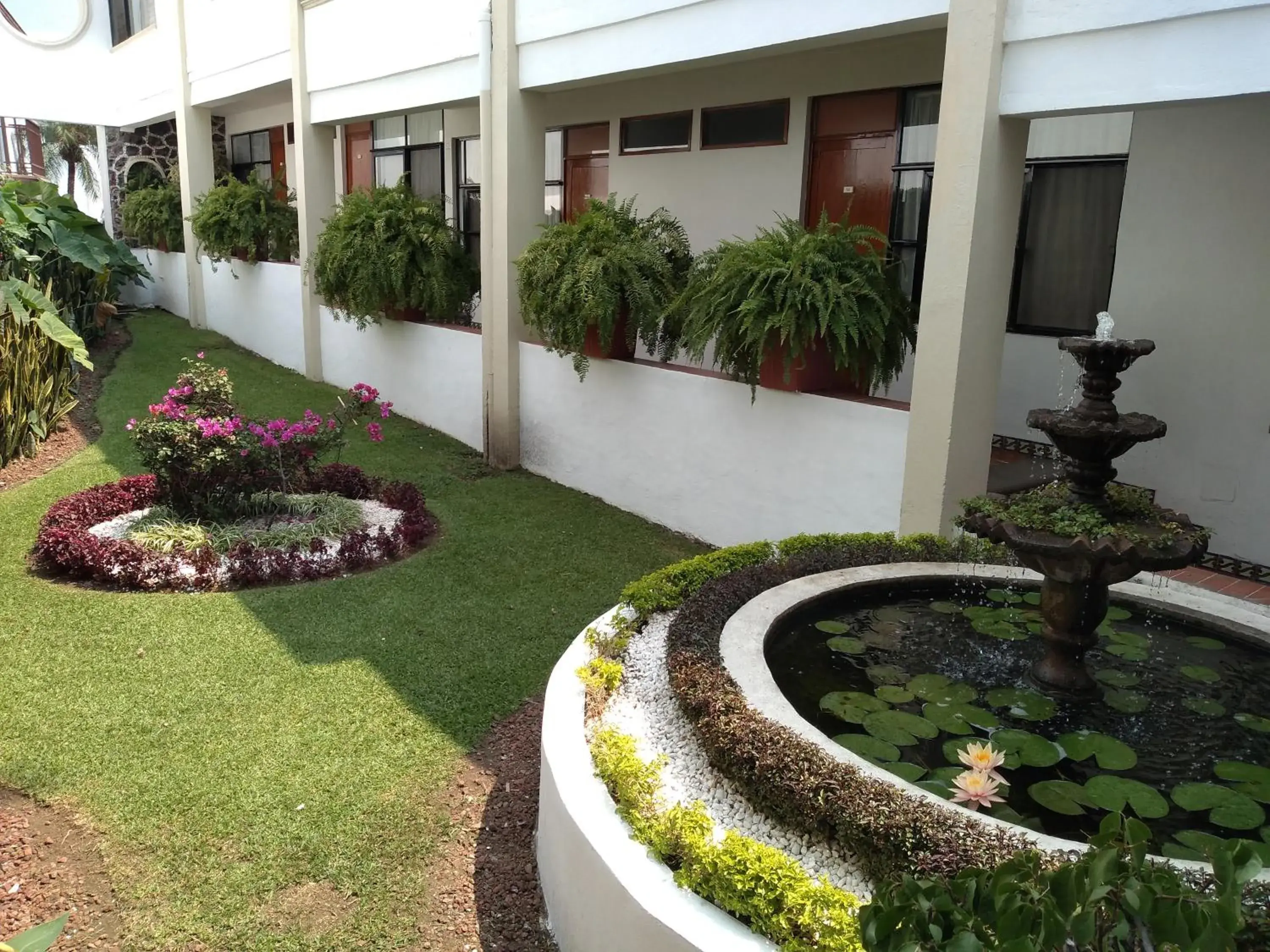 Garden in Hotel Posada Quinta Las Flores