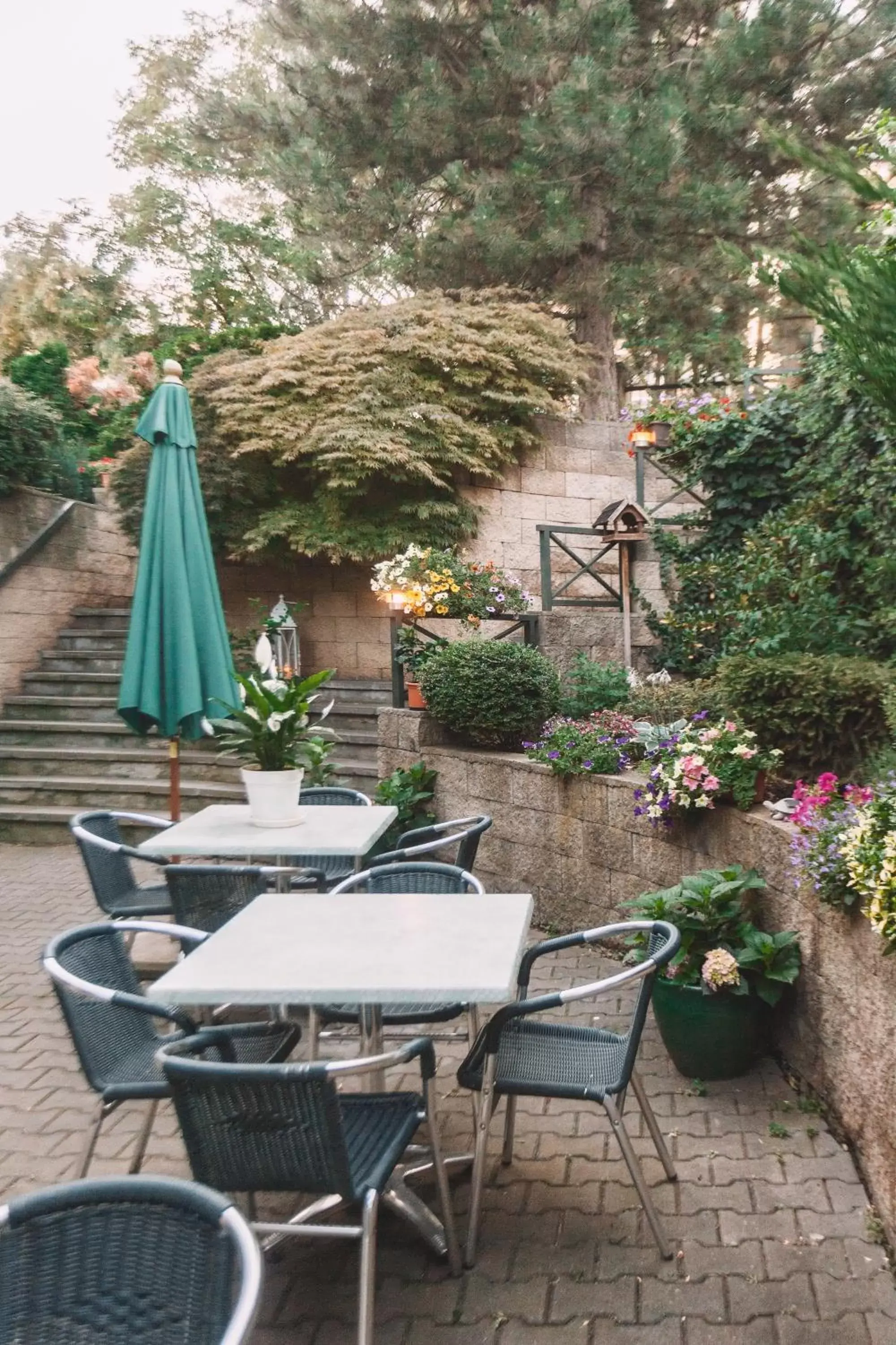 Garden in Hotel Peko