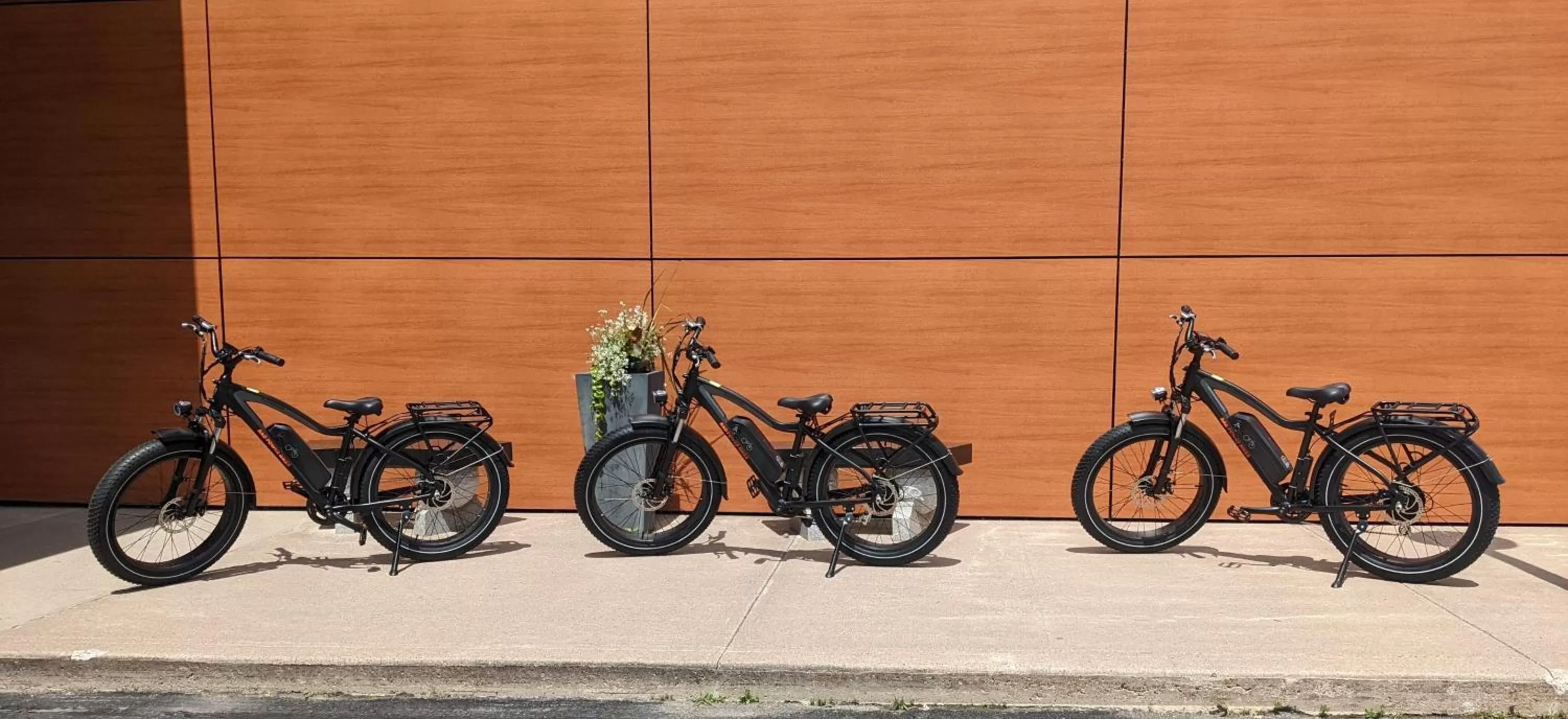 Cycling in Clarenville Inn