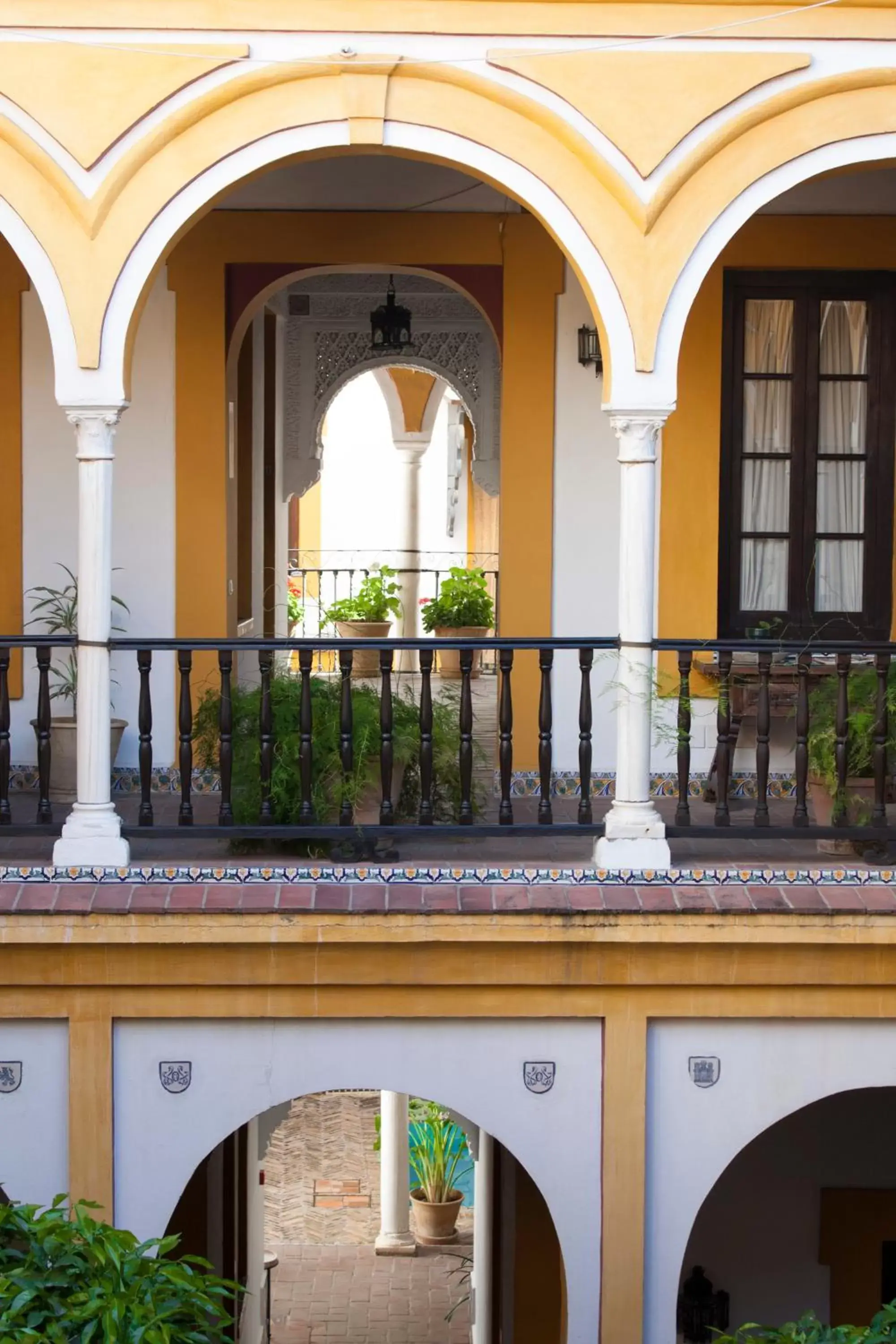 Garden in Hotel Casa Imperial