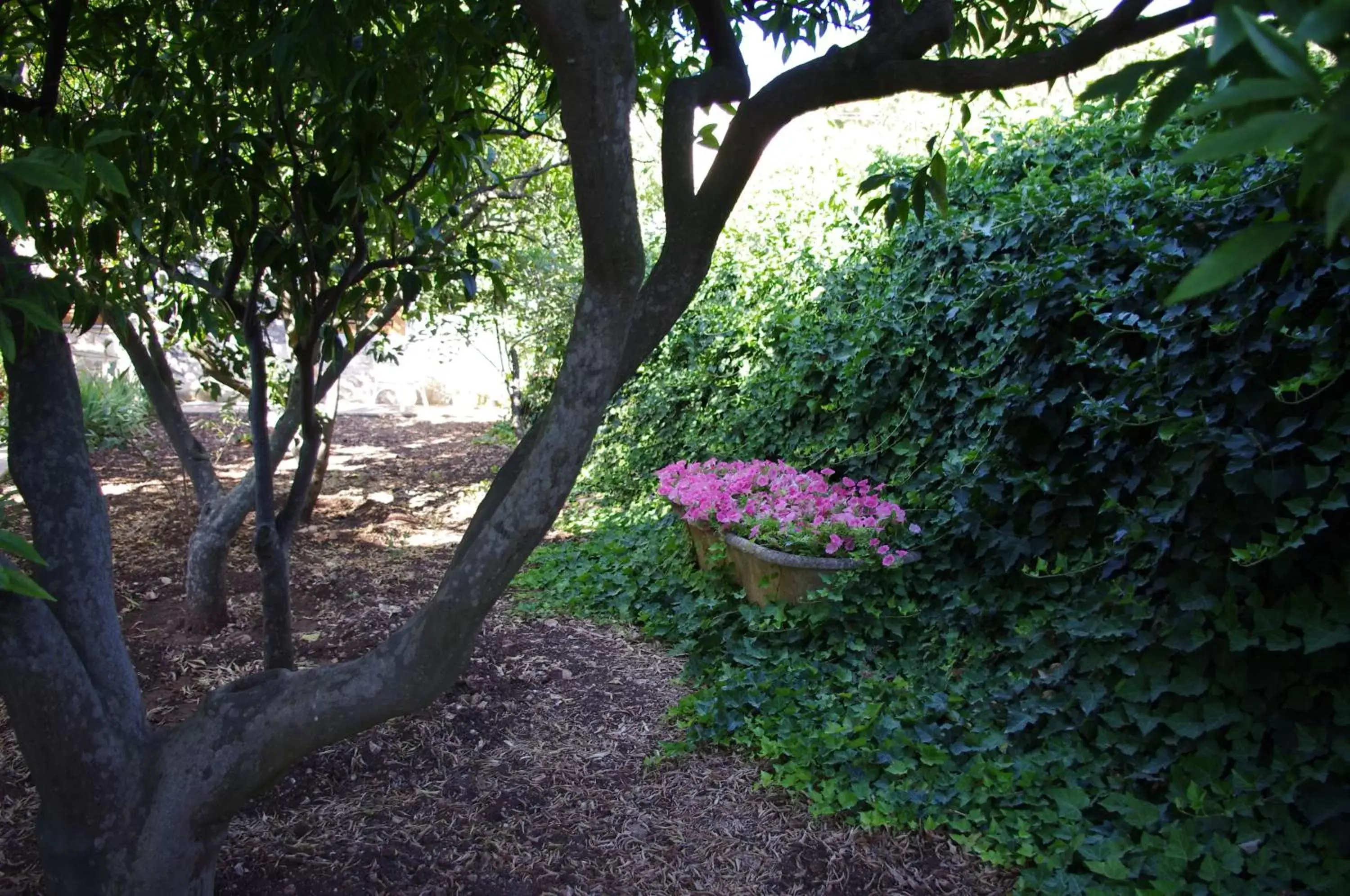 Garden in La Piccola Locanda