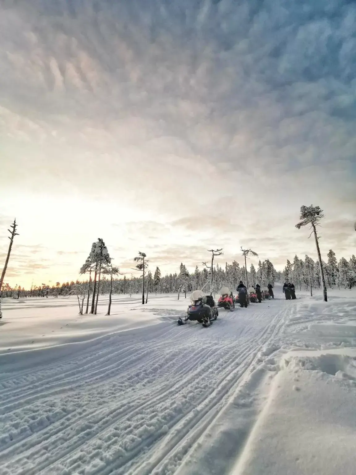 Winter in Apukka Resort