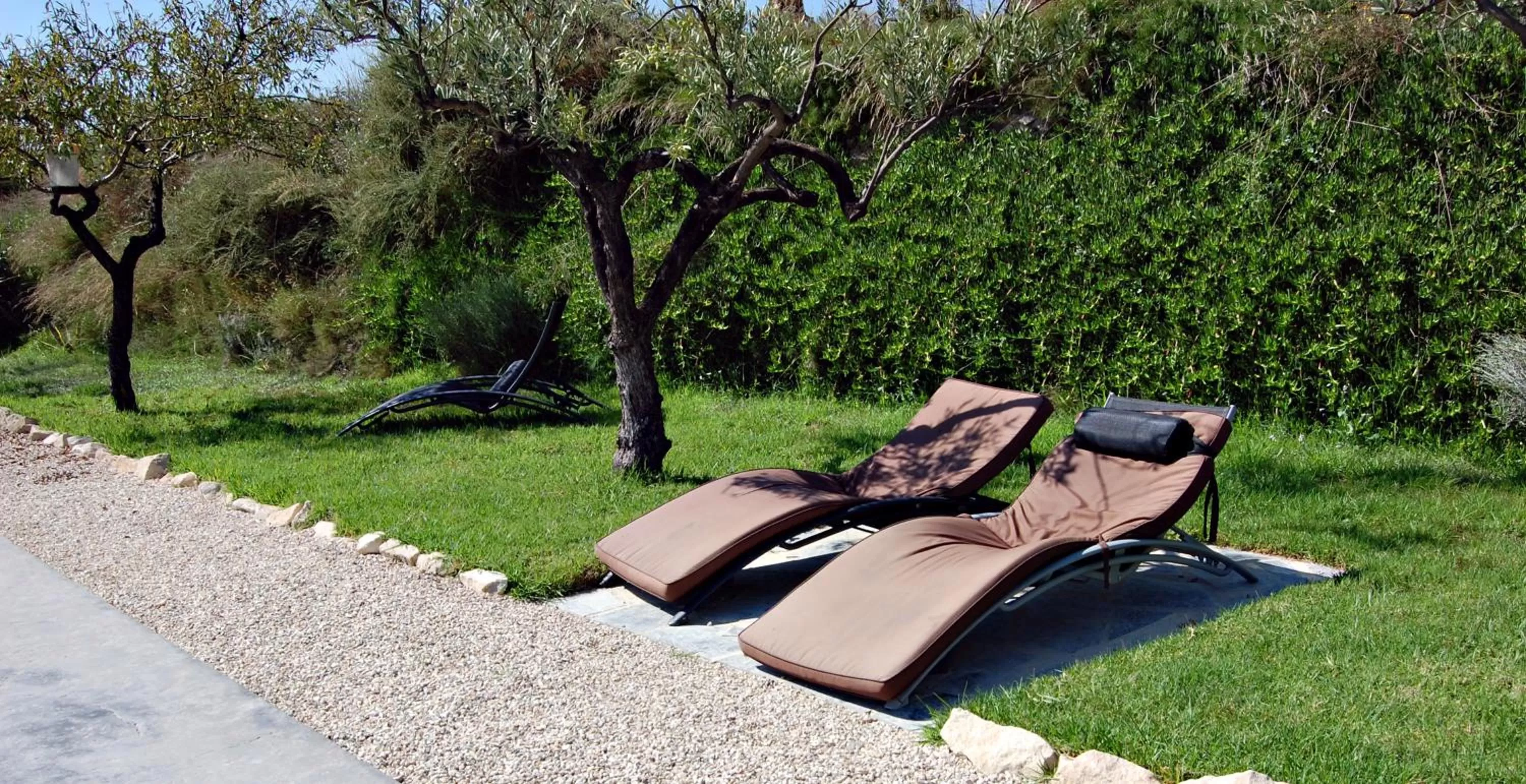 Garden in El Pao Spa