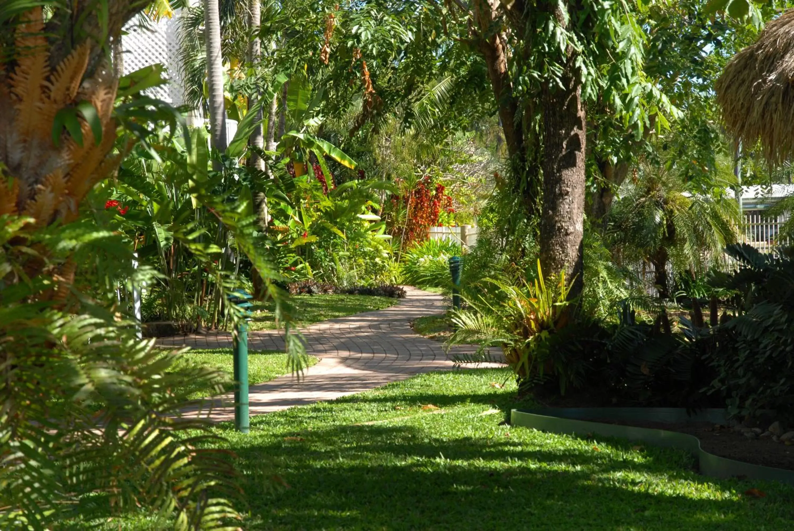 Garden in Cairns Beach Resort