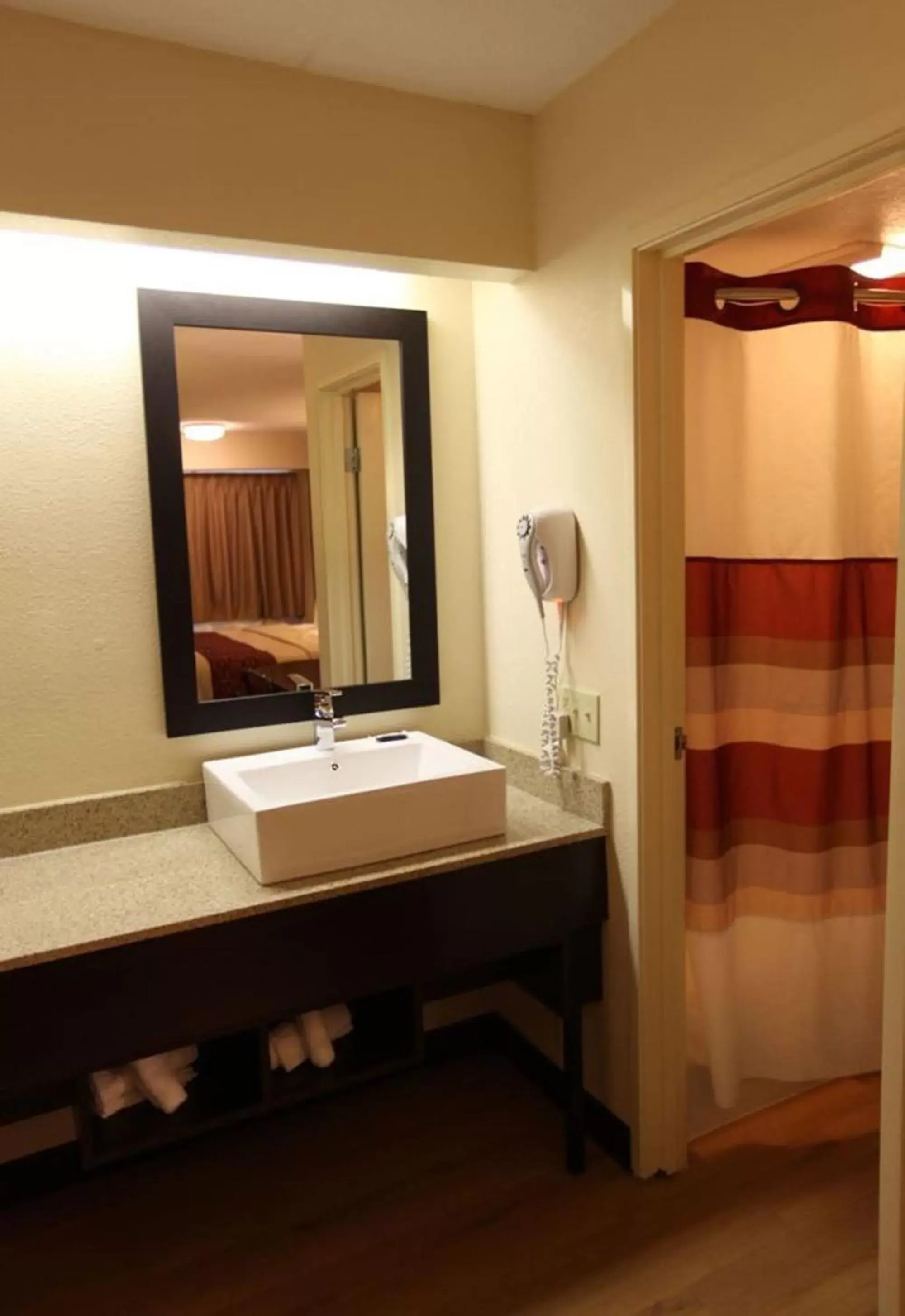 Bathroom in Red Roof Inn PLUS+ Washington DC - Alexandria