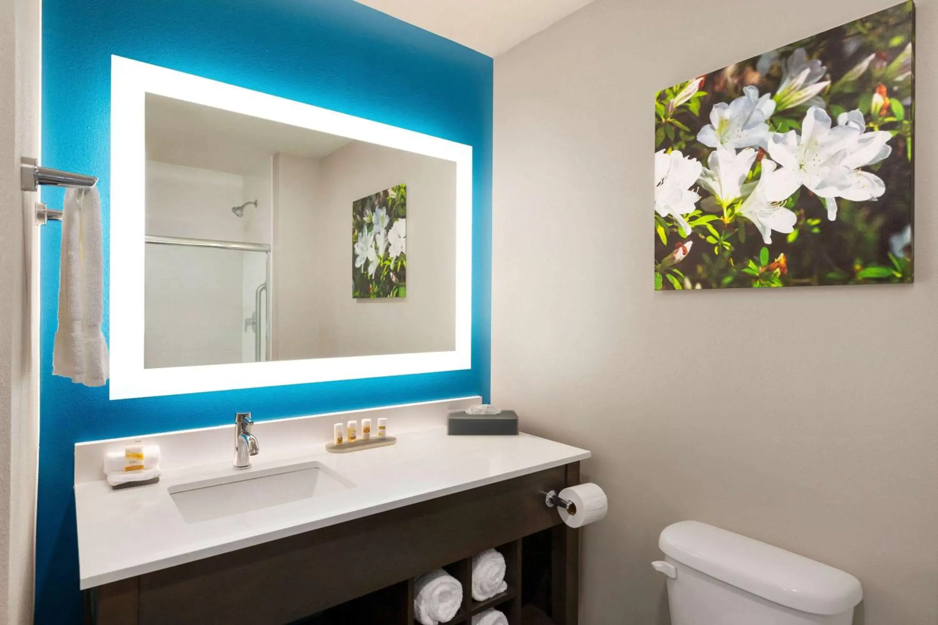 Bathroom in La Quinta by Wyndham Gainesville