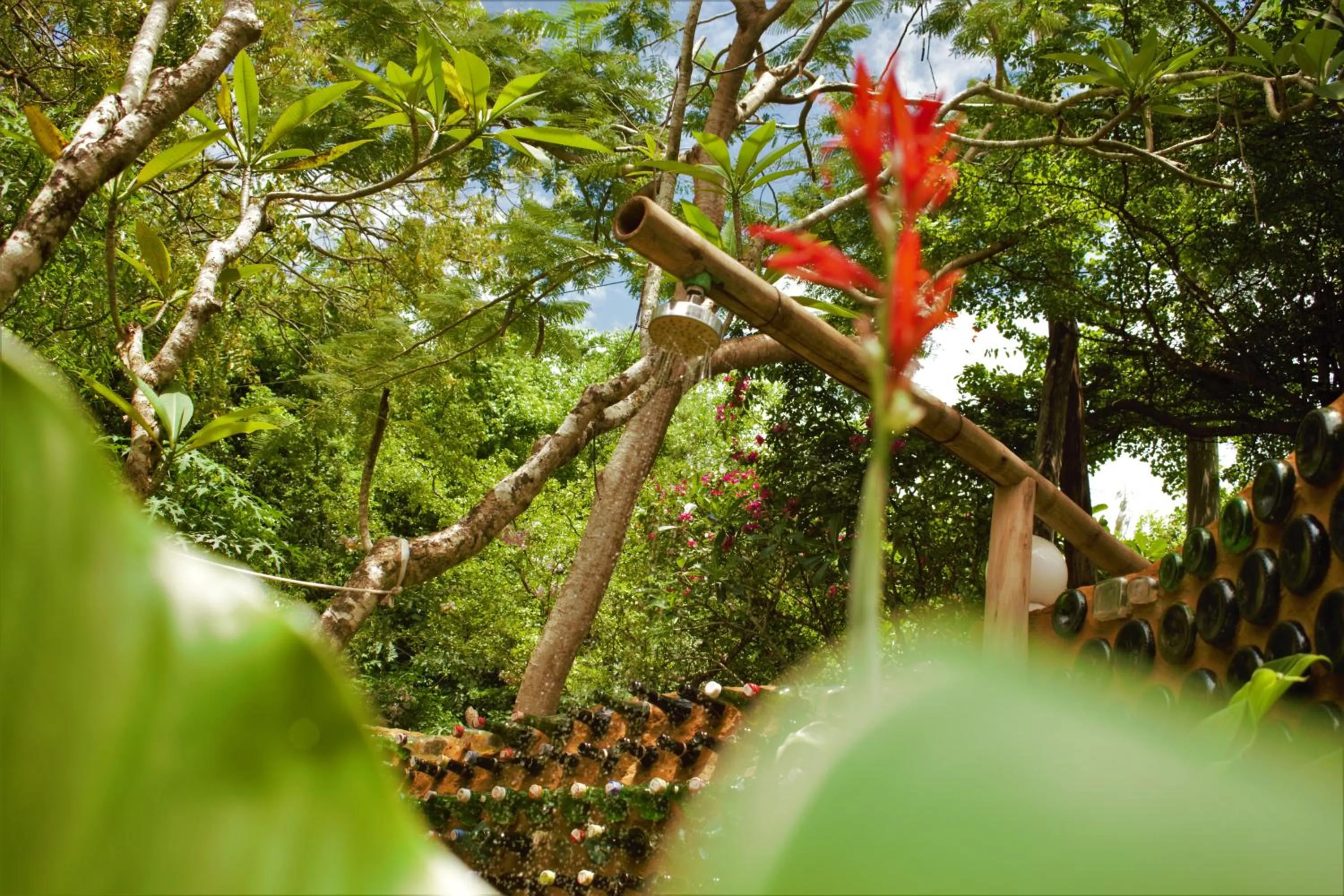 Shower in Distant Relatives Ecolodge & Backpackers