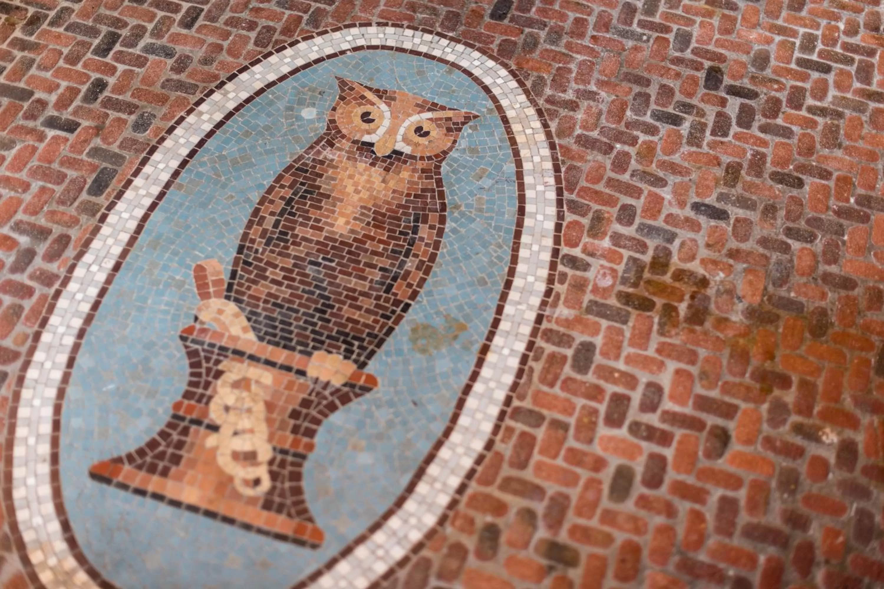 Restaurant/places to eat in Freehand Los Angeles