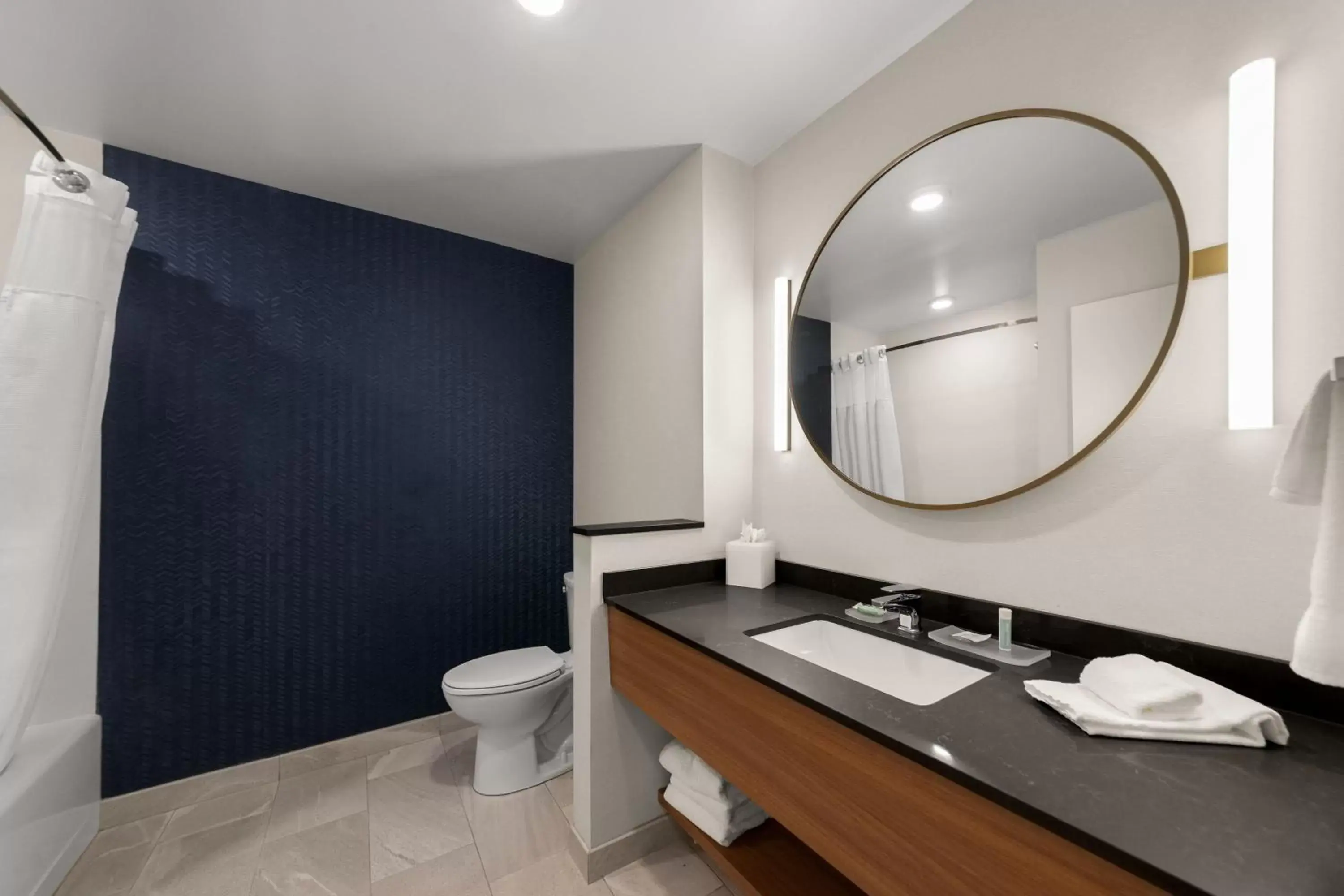 Bathroom in Fairfield Inn & Suites Brooksville Suncoast Parkway