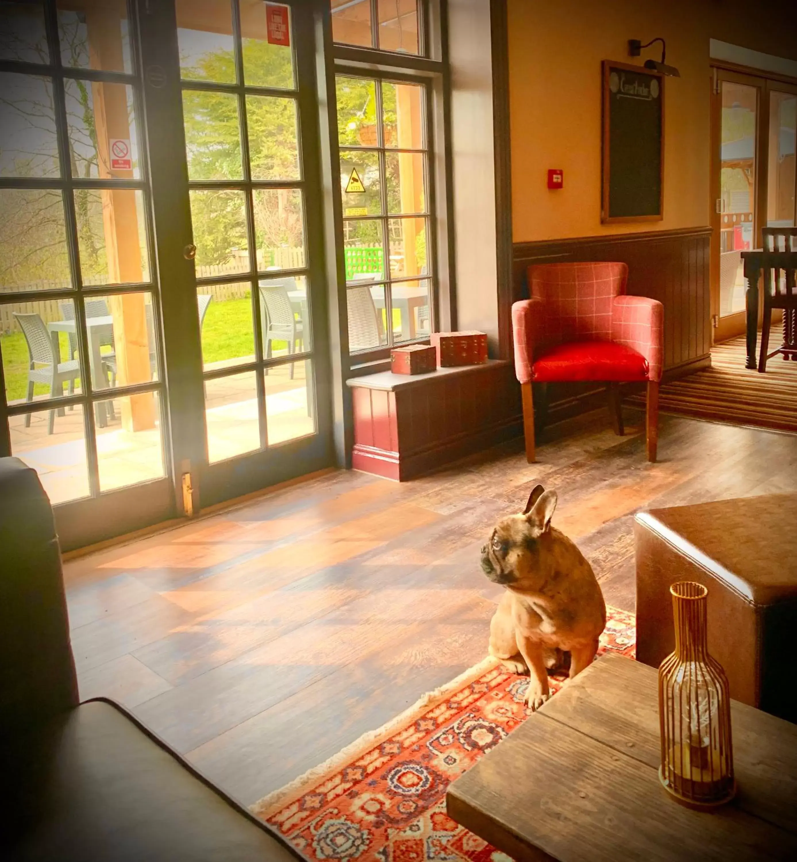 Lounge or bar, Pets in Crown & Anchor