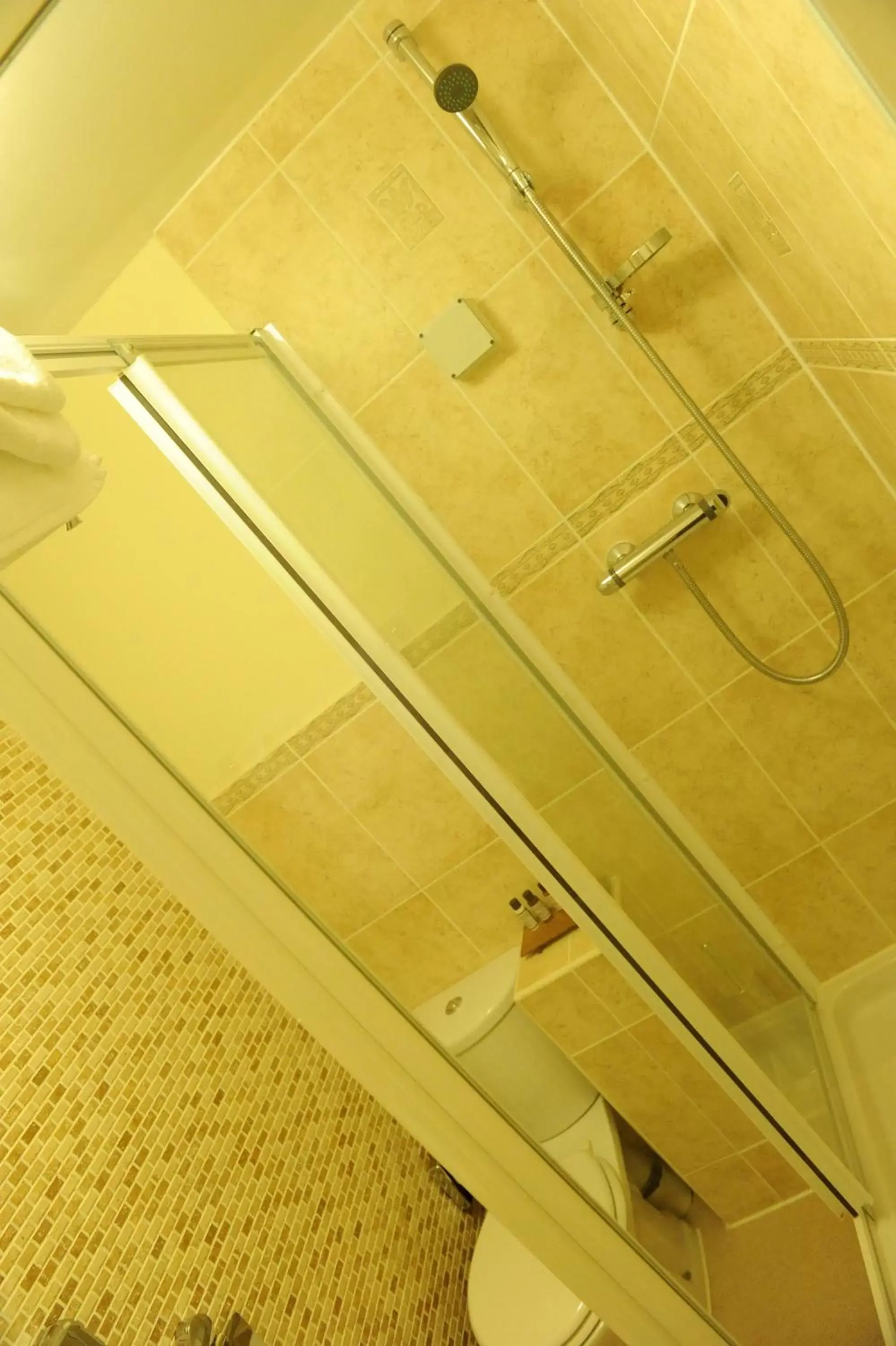 Shower, Bathroom in A Park View Hotel