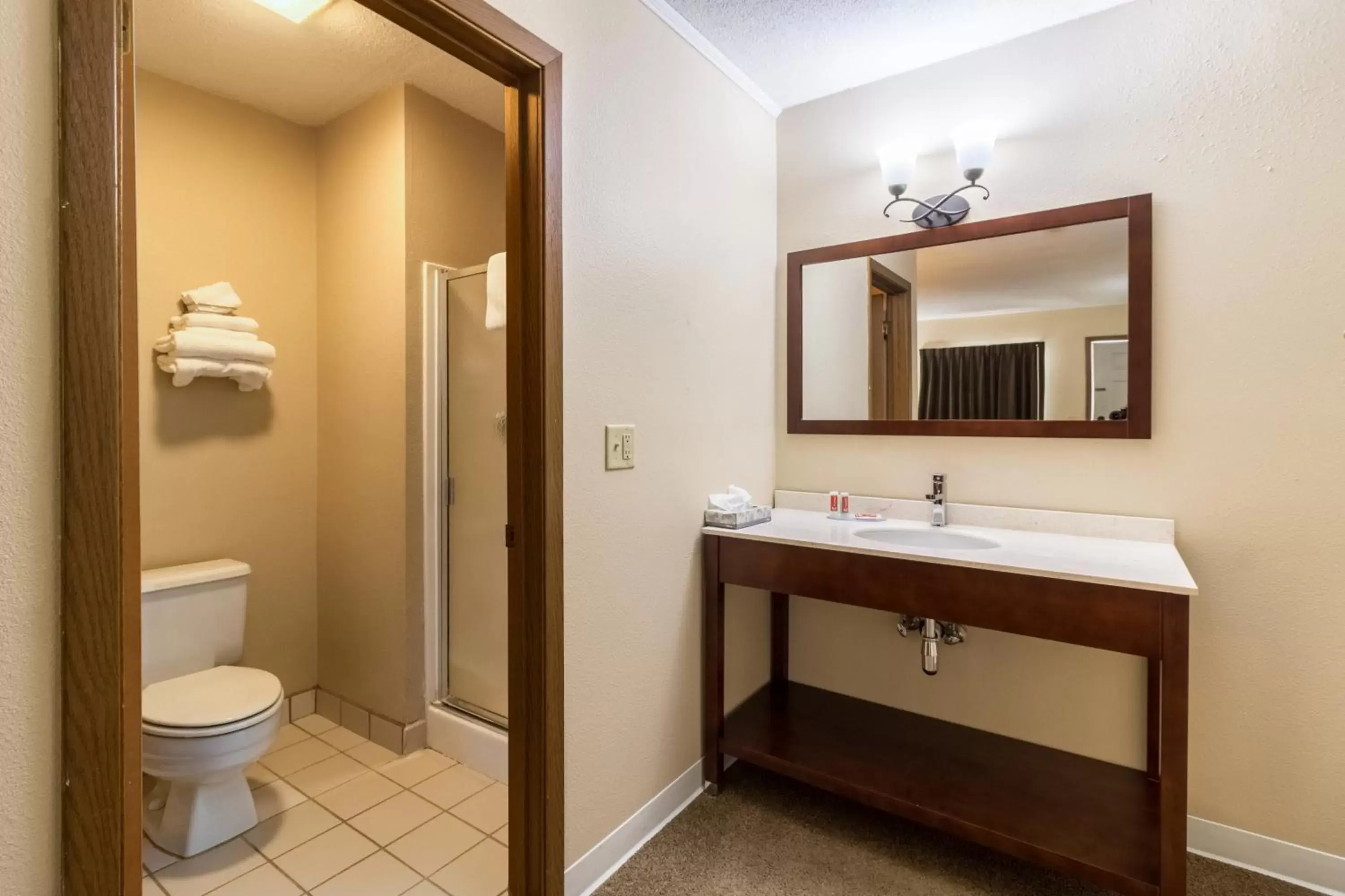 Bathroom in Econo Lodge - Valley City