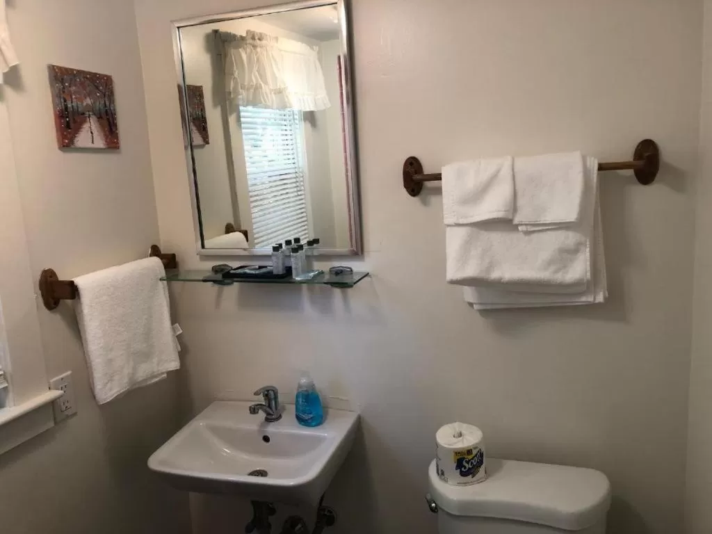 Bathroom in Herring Run Motel and Tiny Cabins