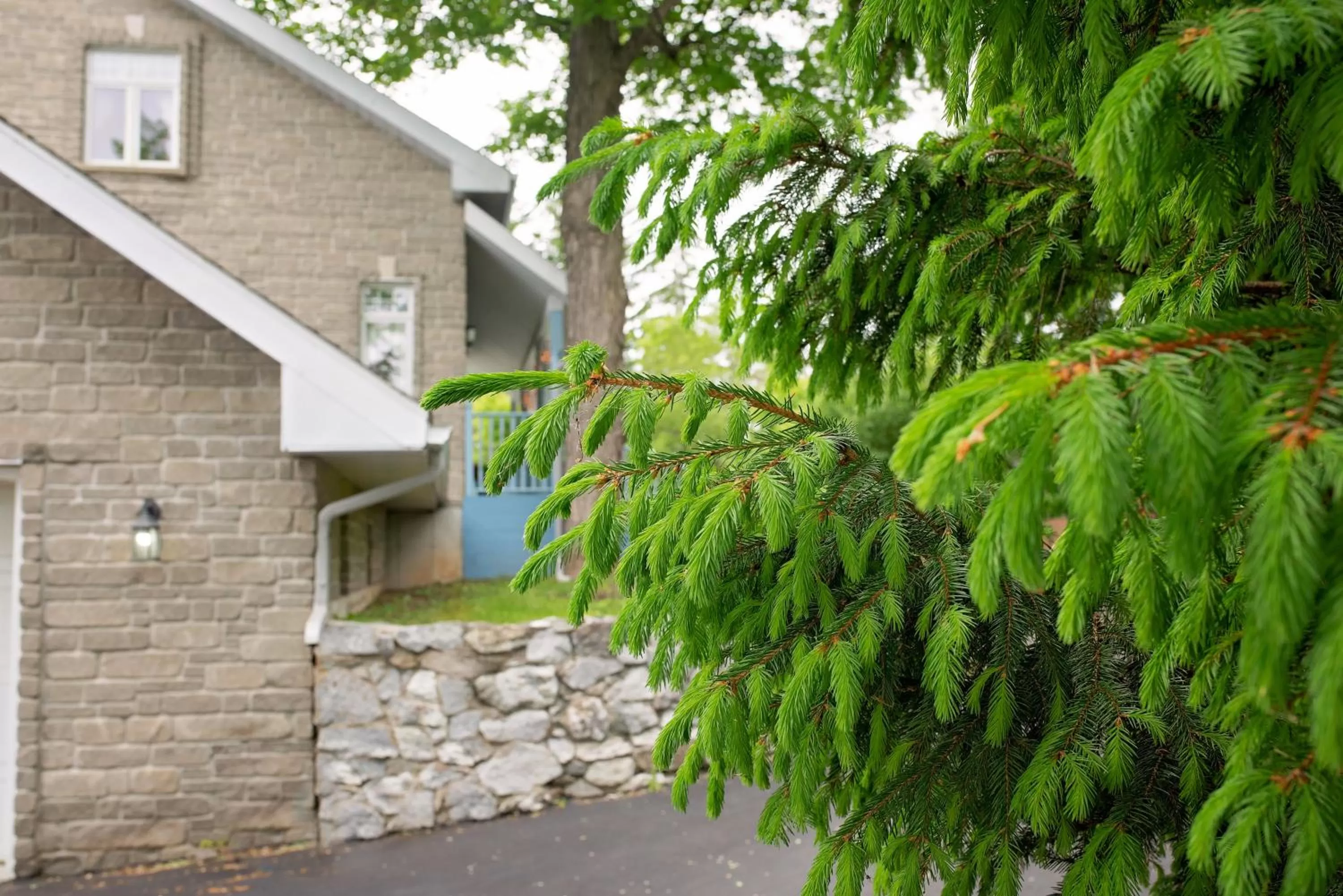 Rock Hill Bed & Breakfast