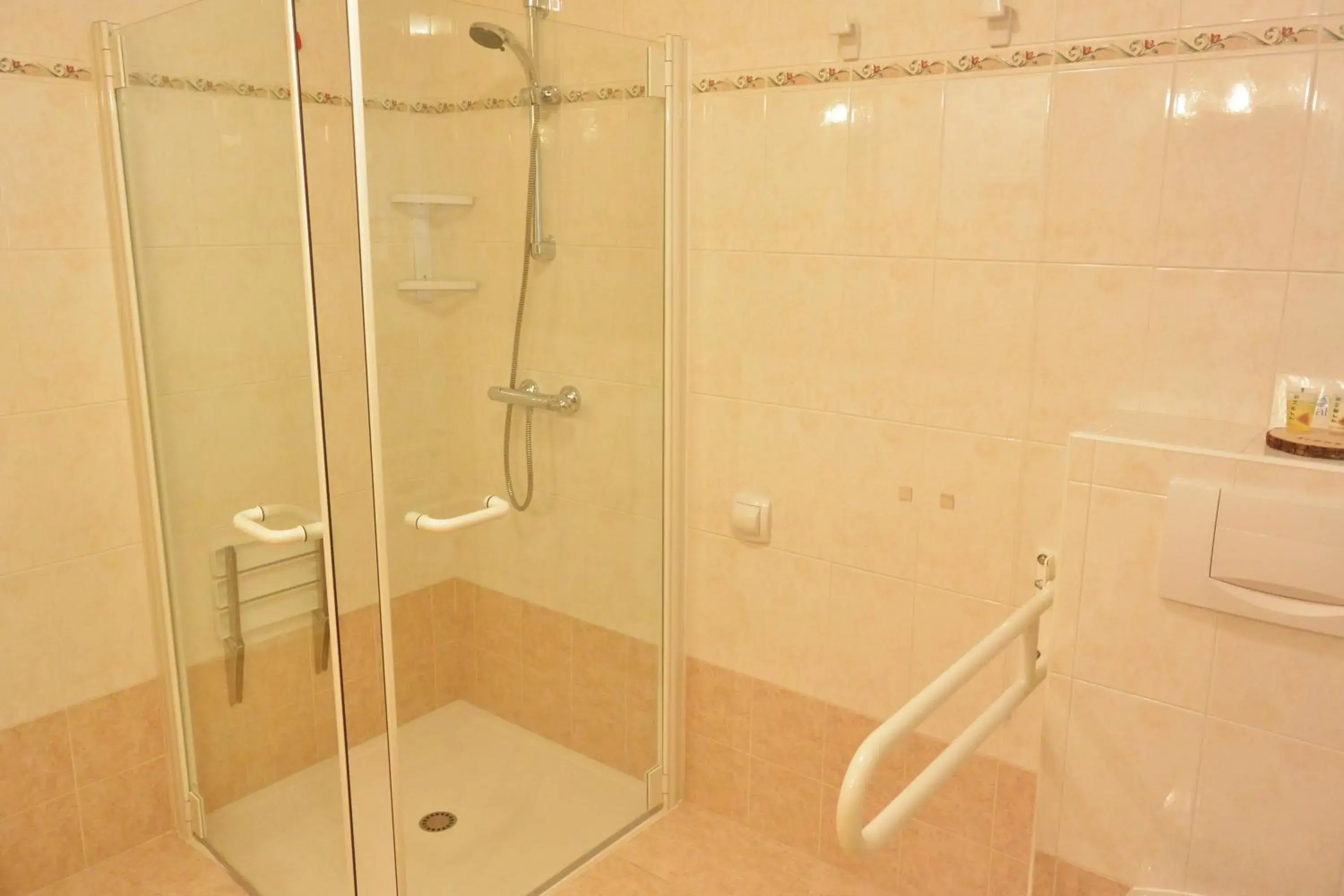 Shower, Bathroom in Hotel Garnì al Plan