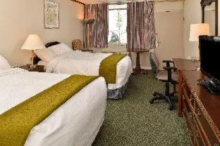 King Room - Non-Smoking in Americas Best Value Inn-Pocomoke City