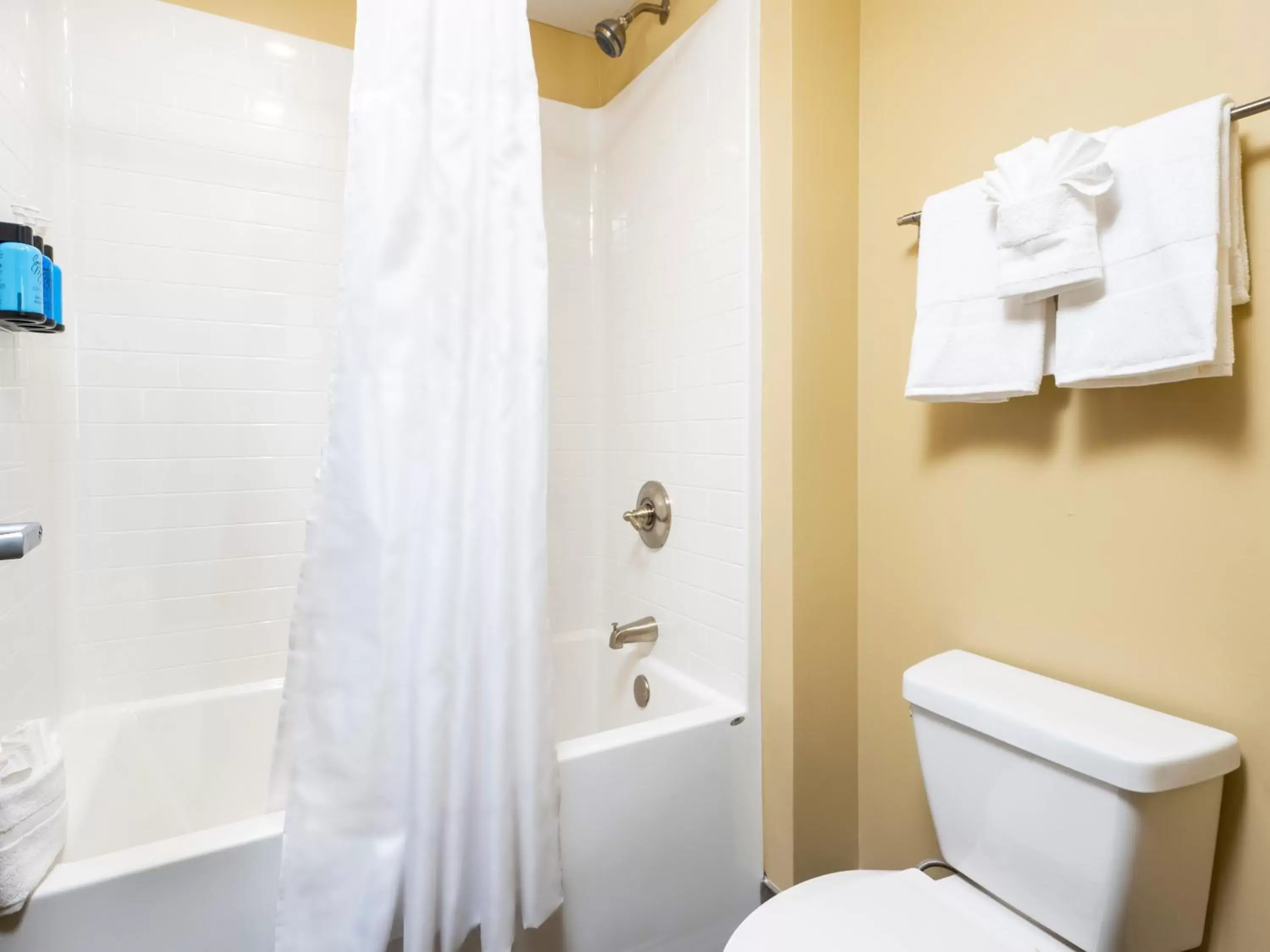 Bathroom in Country Cascades Waterpark Resort