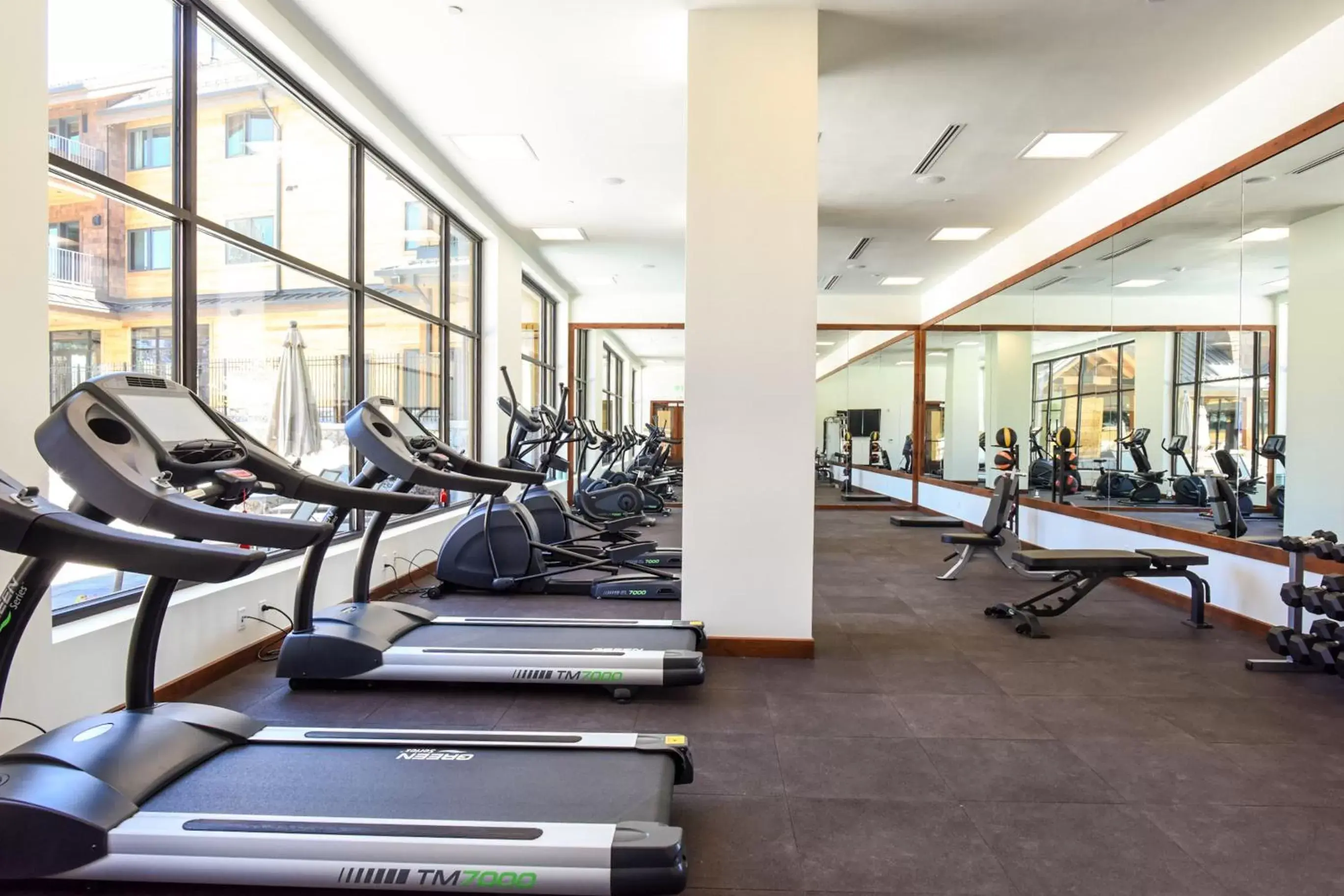 Fitness centre/facilities, Fitness Center/Facilities in Zalanta