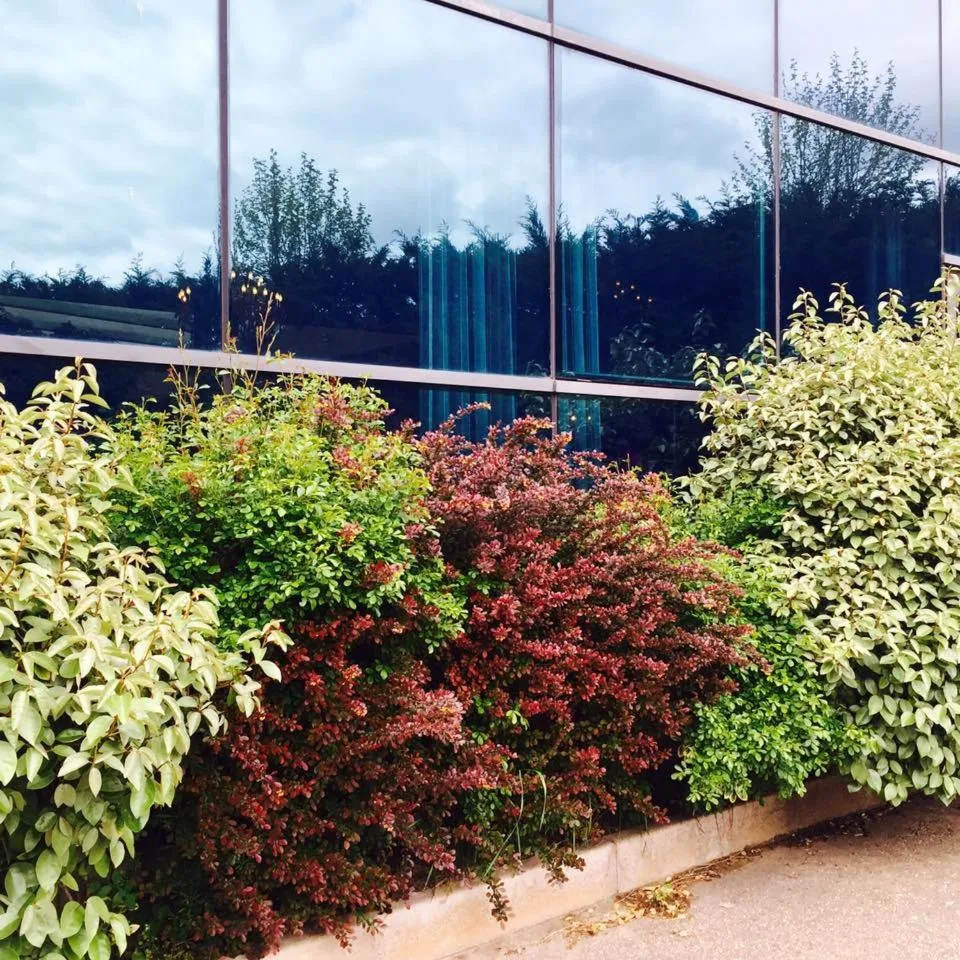 Other in Hotel Restaurante El Valles 4 ESTRELLAS