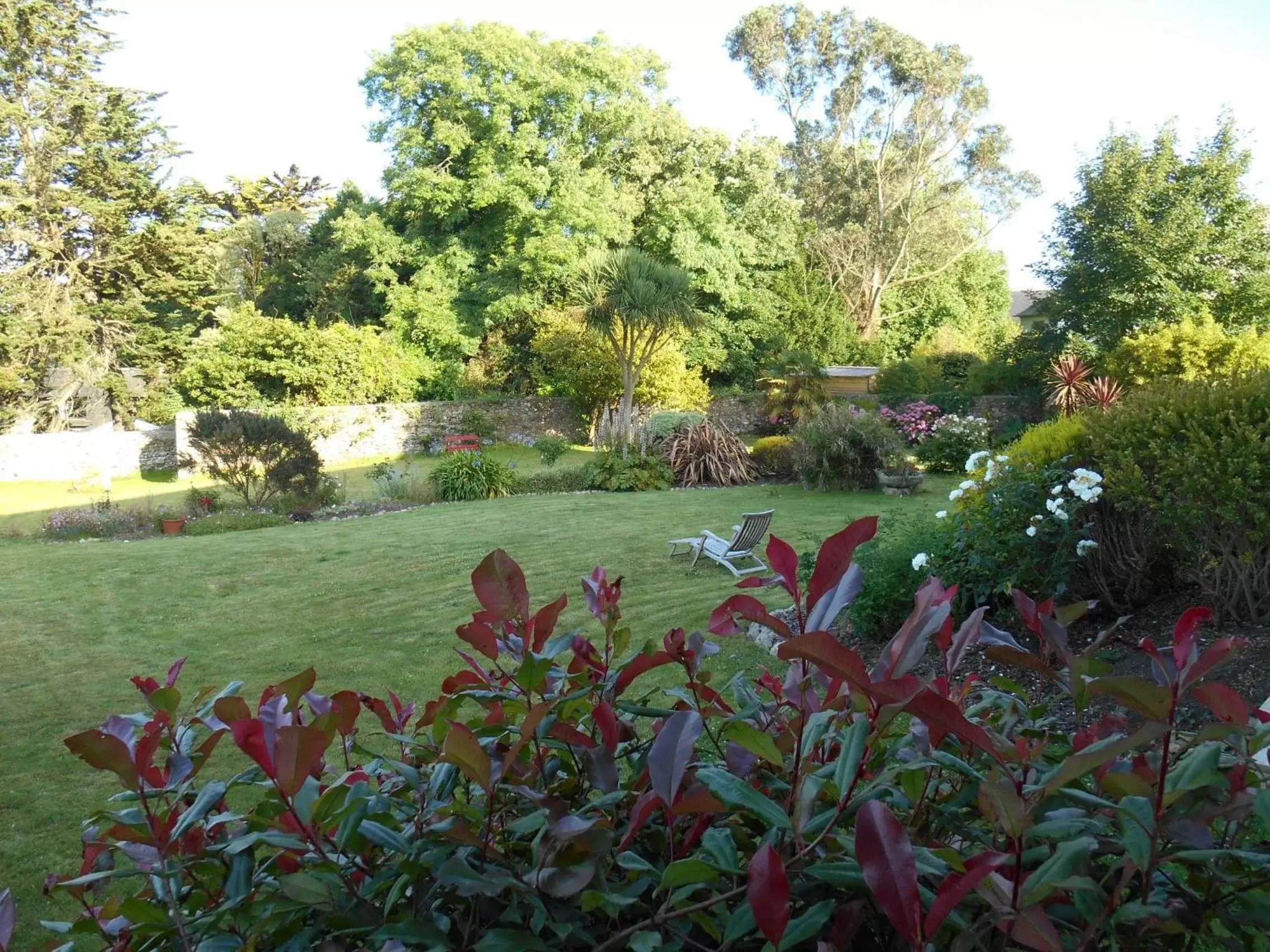 Garden view, Garden in Hotel de France