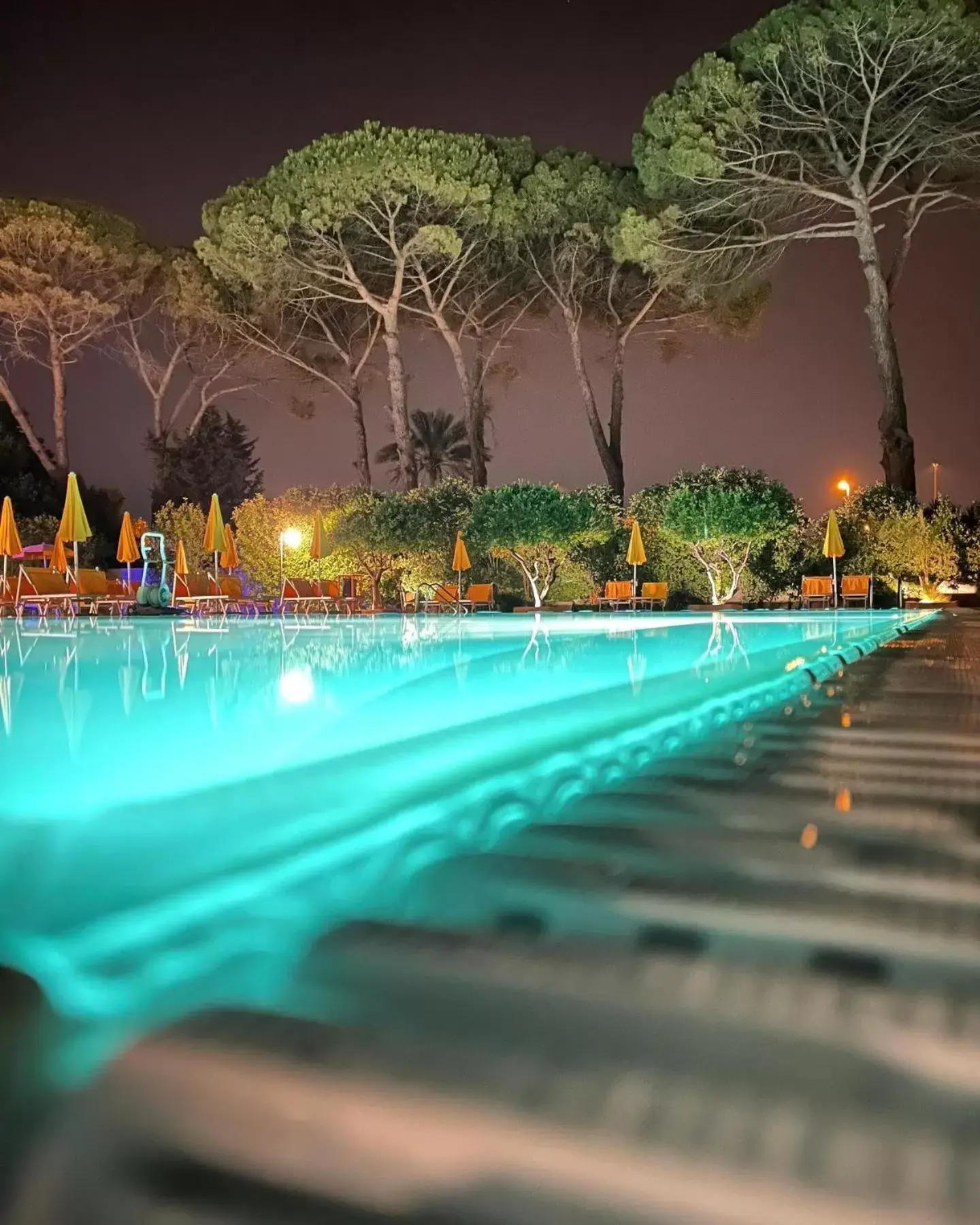 Swimming Pool in Relais Casina Copini