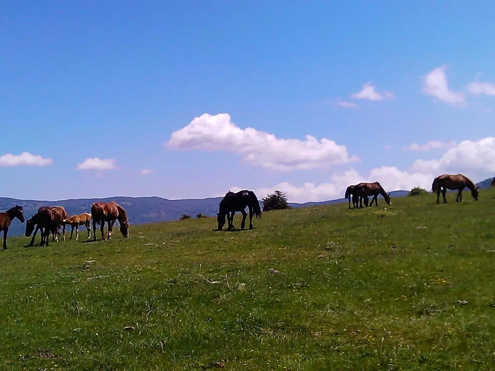 Hiking, Other Animals in B&B Il Ghiro-Country House