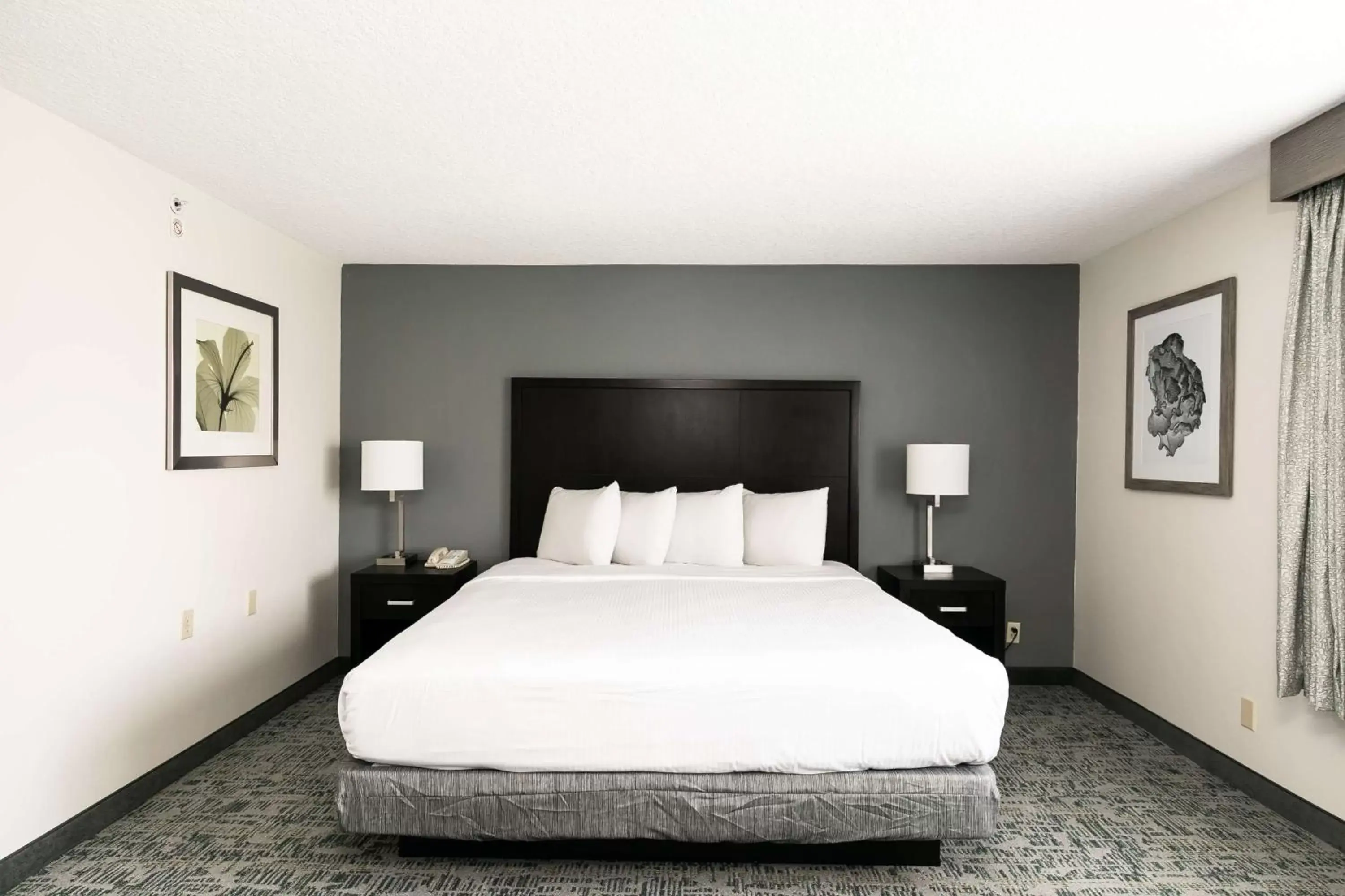 Bedroom, Bed in Best Western Inn & Suites San Diego Zoo -SeaWorld Area