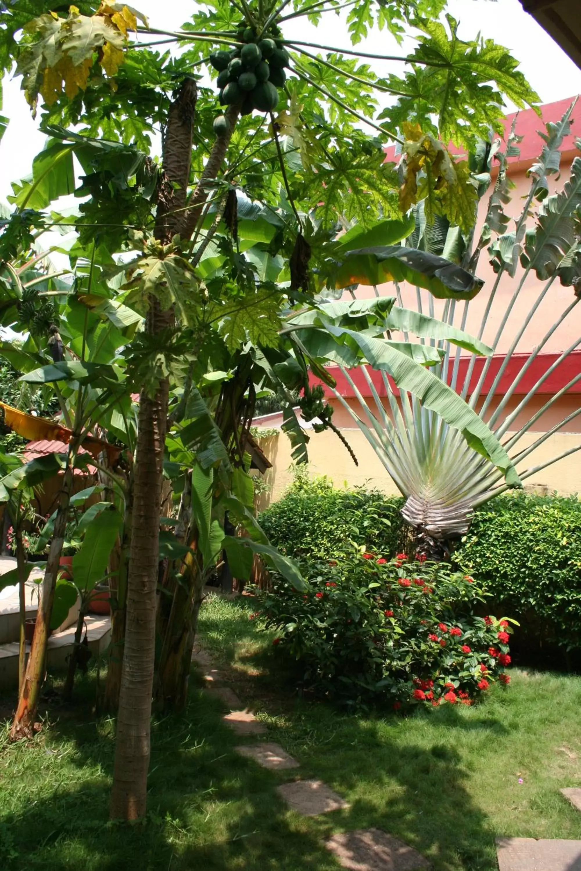 Property building, Garden in Hotel Aurore Lomé