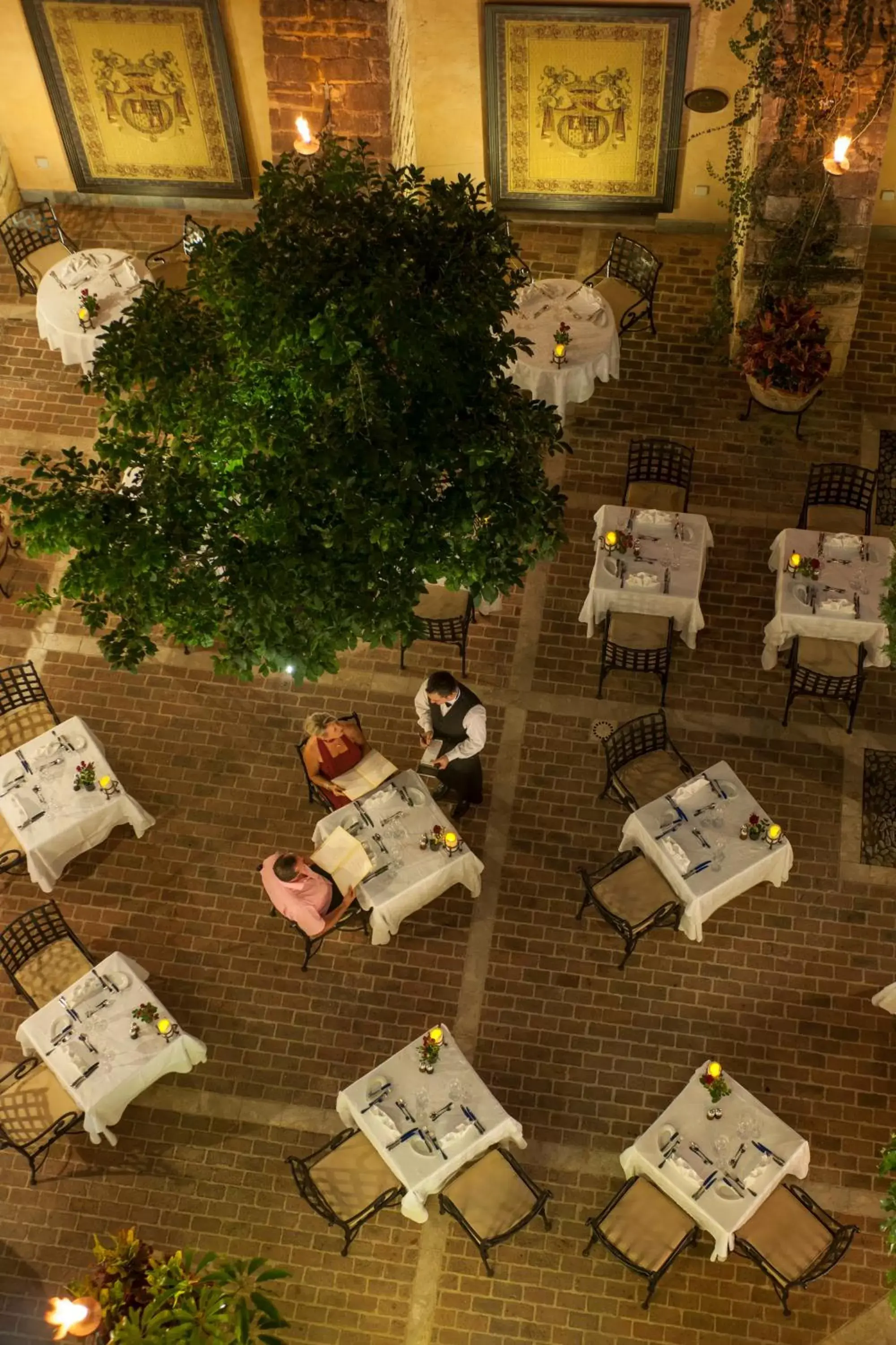 Bird's eye view, Restaurant/Places to Eat in Elysium